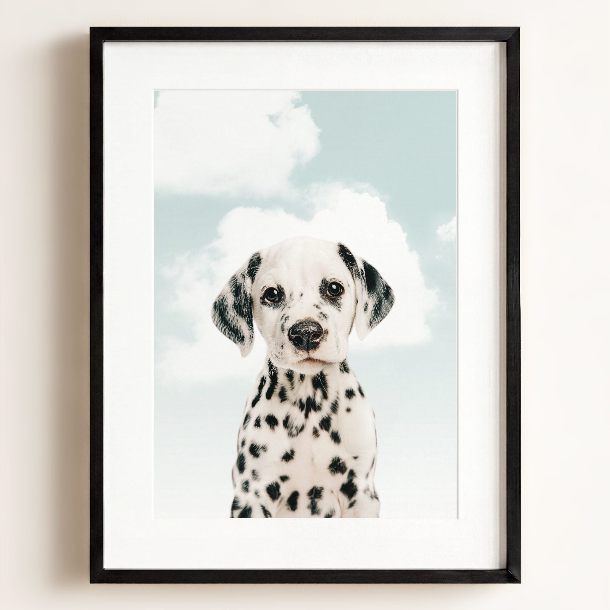 Baby Puppy Dalmatian
