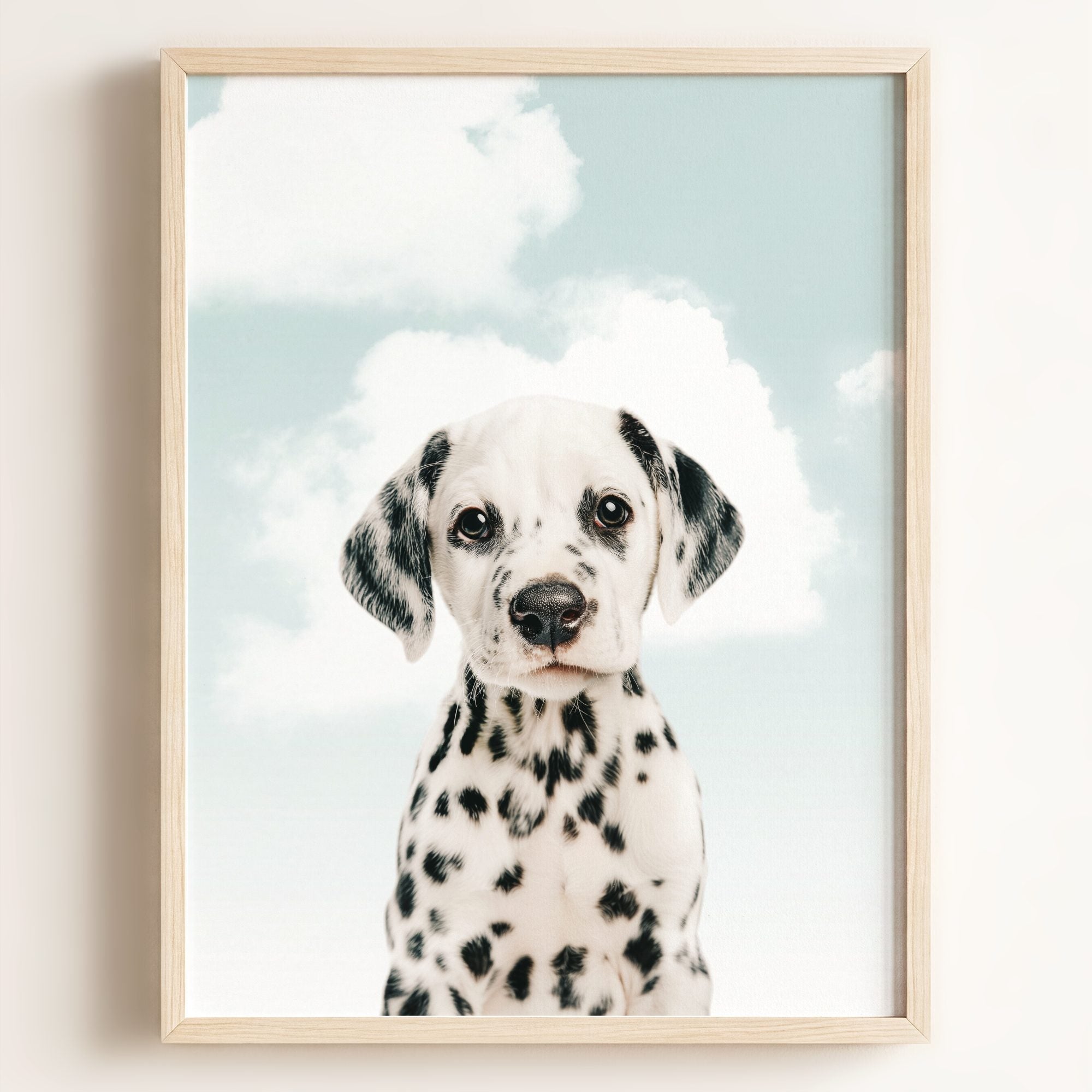 Baby Puppy Dalmatian