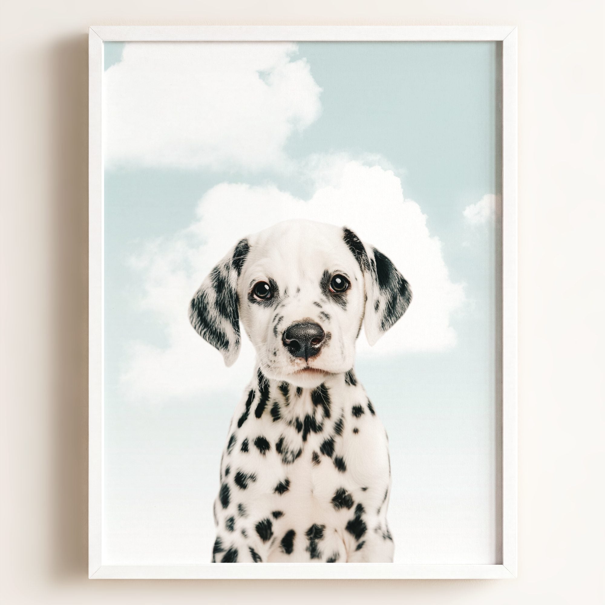 Baby Puppy Dalmatian