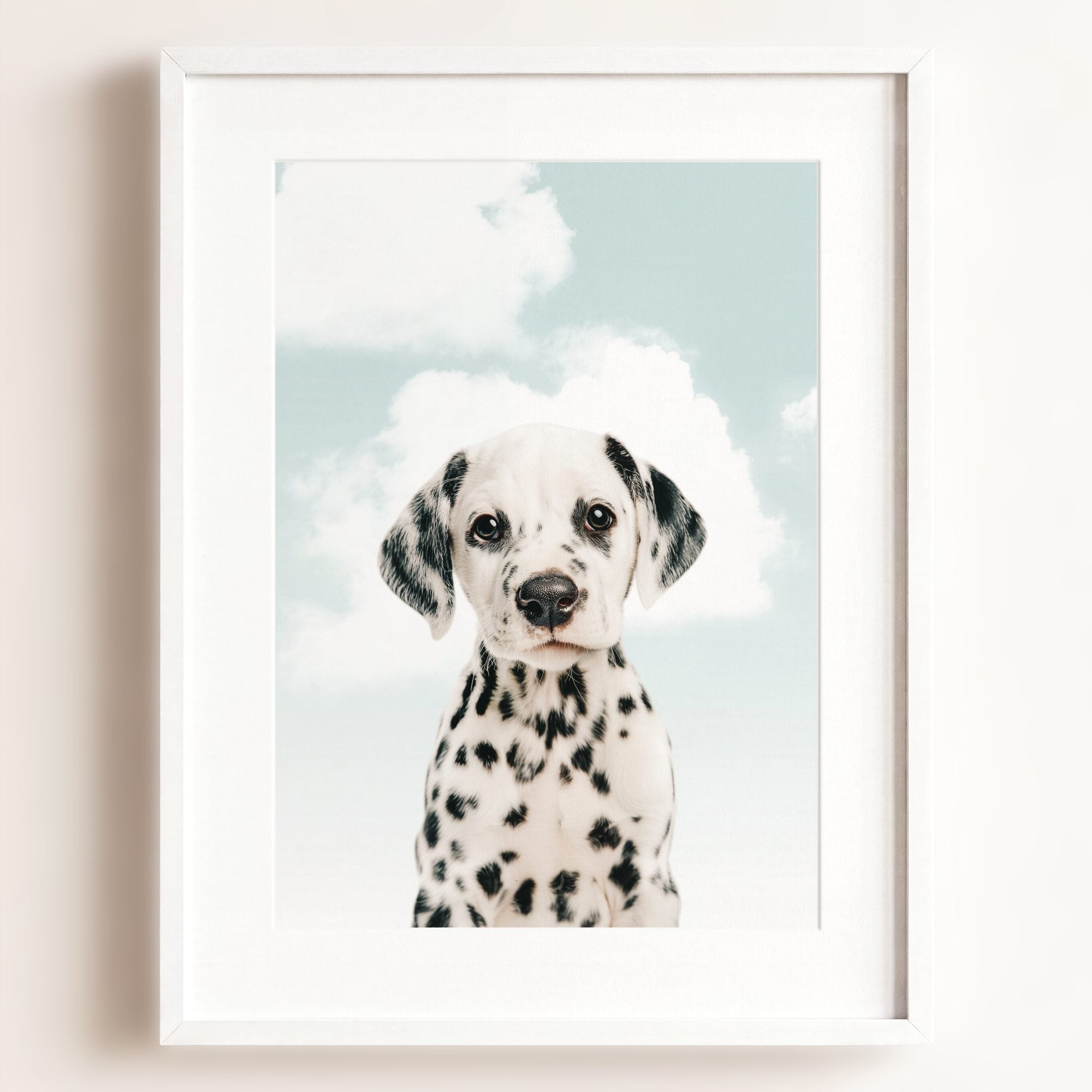 Baby Puppy Dalmatian