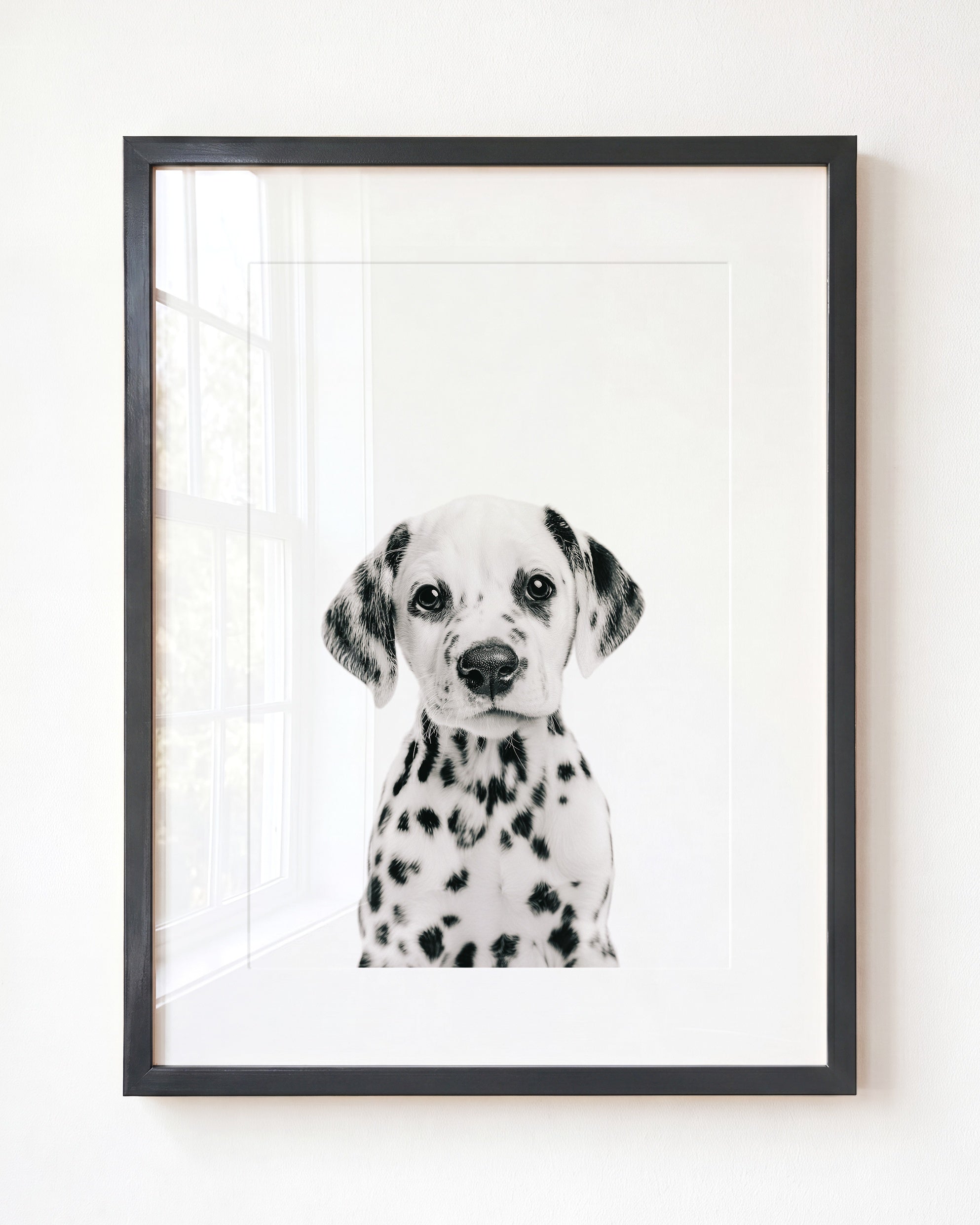 Baby Puppy Dalmatian