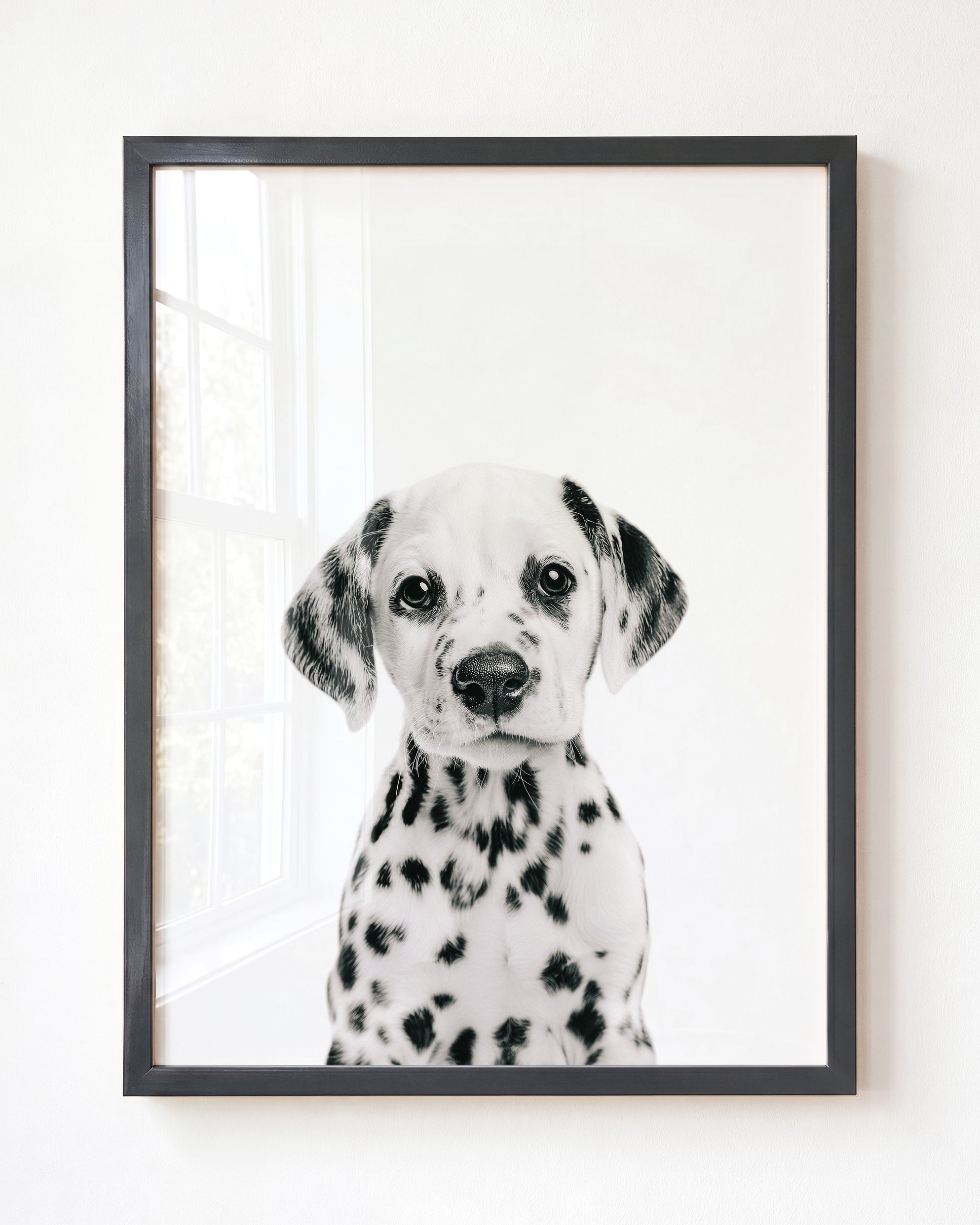 Baby Puppy Dalmatian