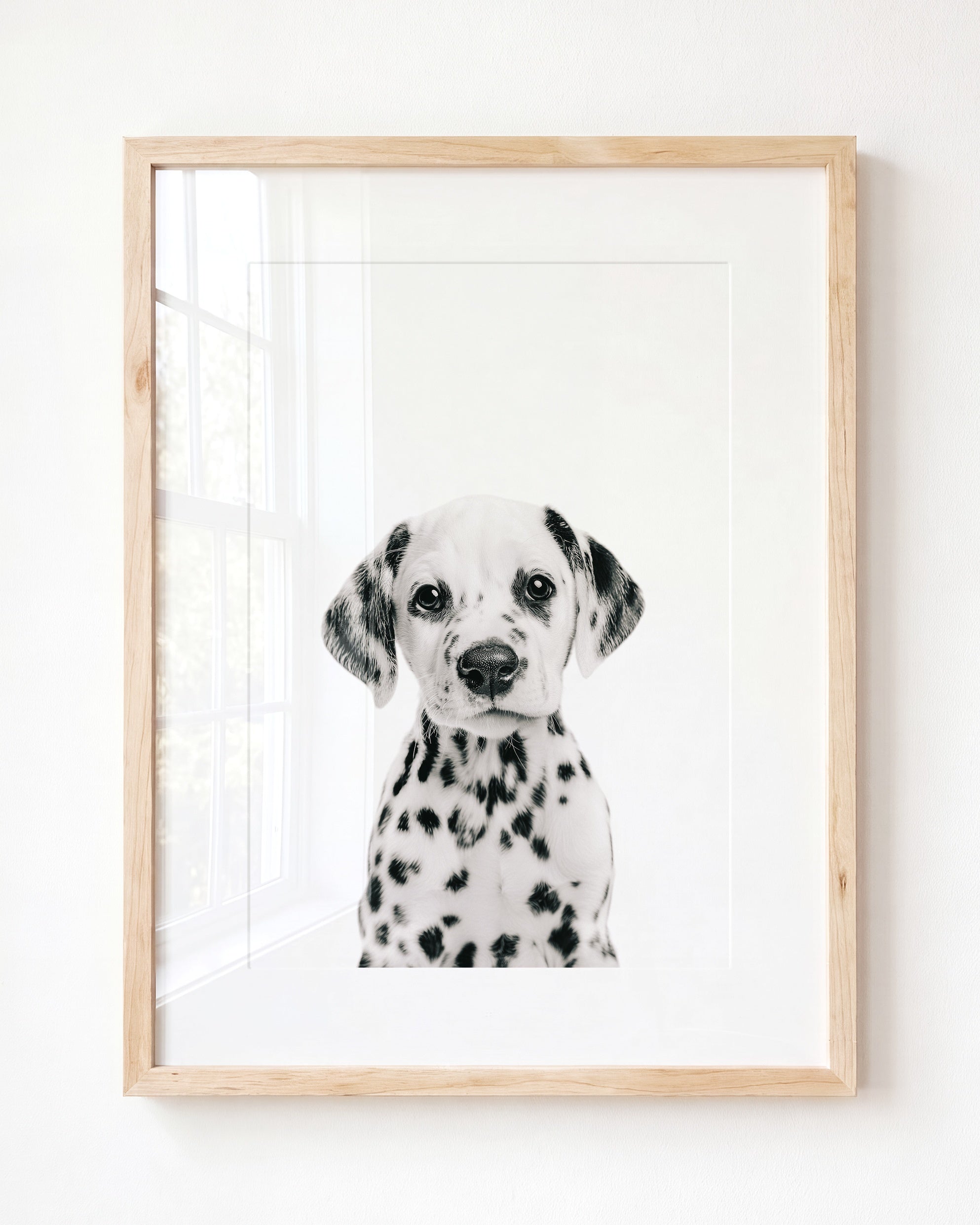 Baby Puppy Dalmatian