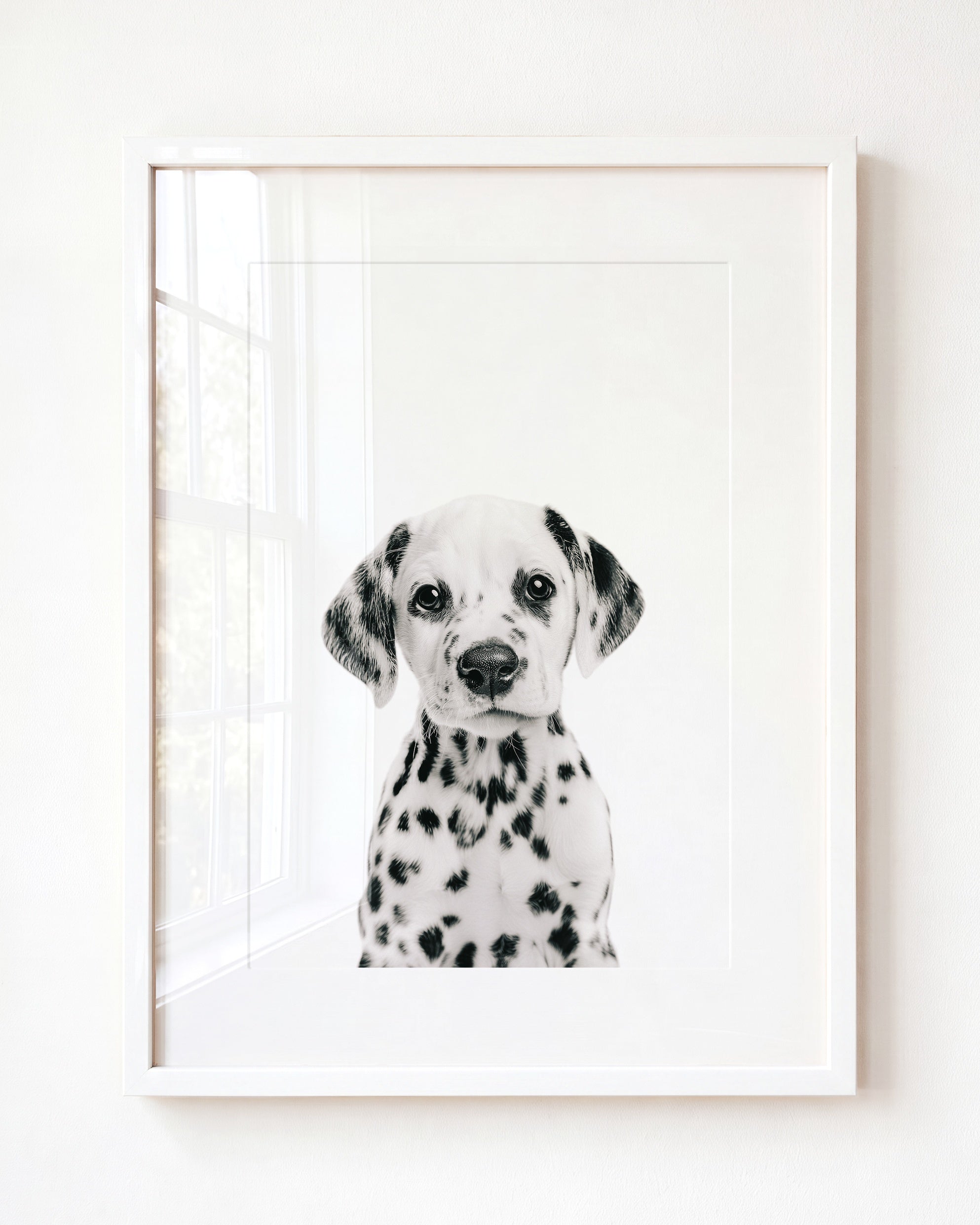 Baby Puppy Dalmatian