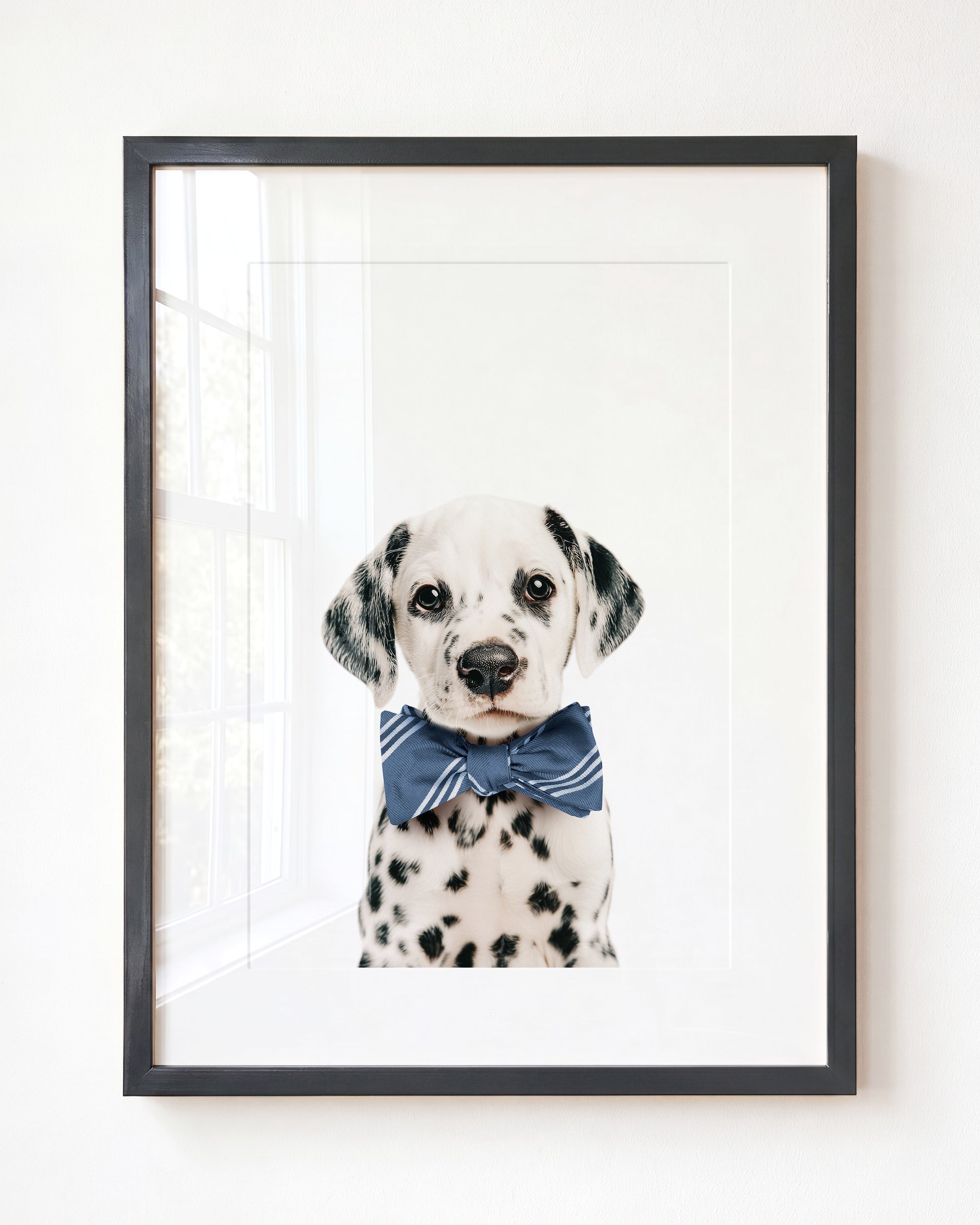 Baby Puppy Dalmatian