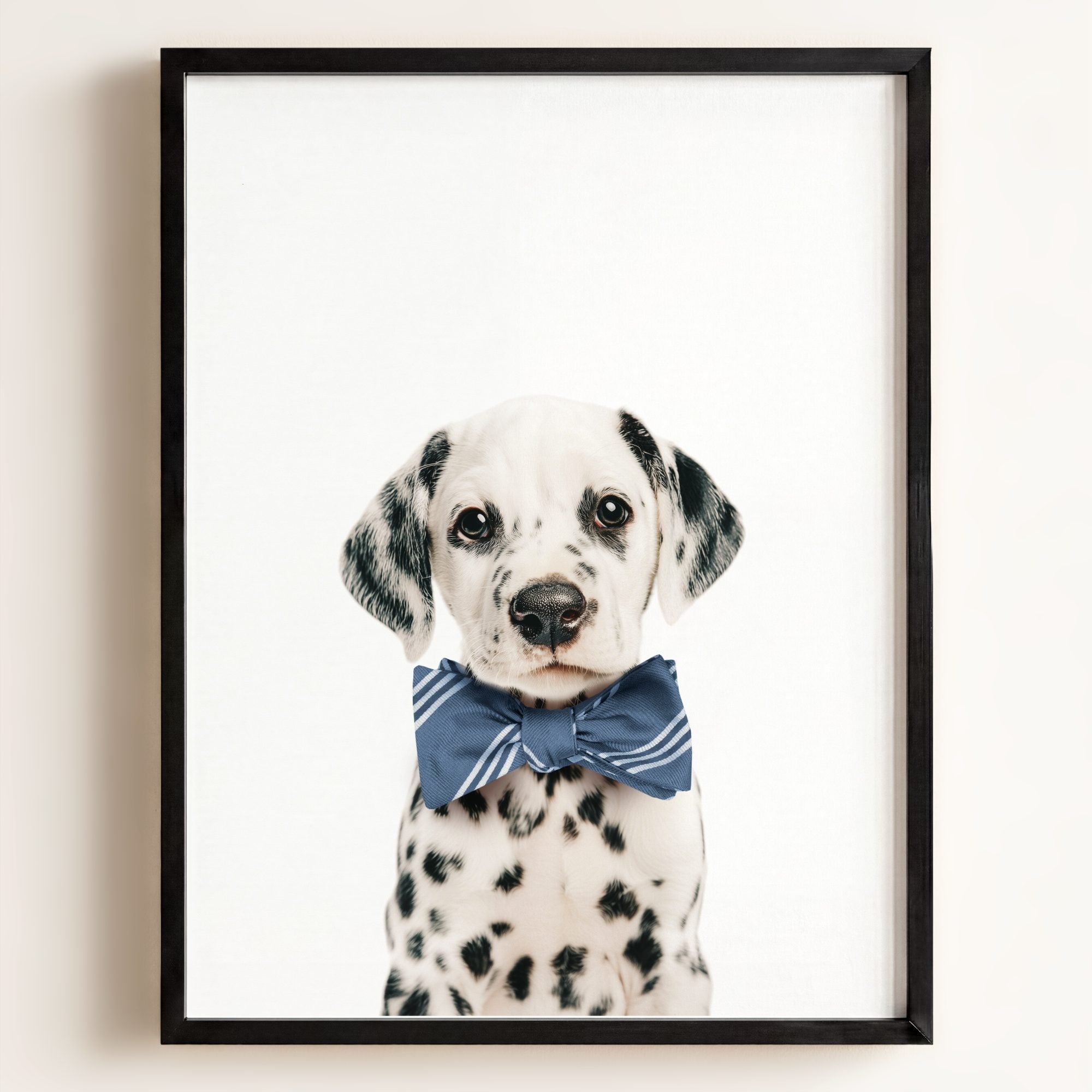 Baby Puppy Dalmatian