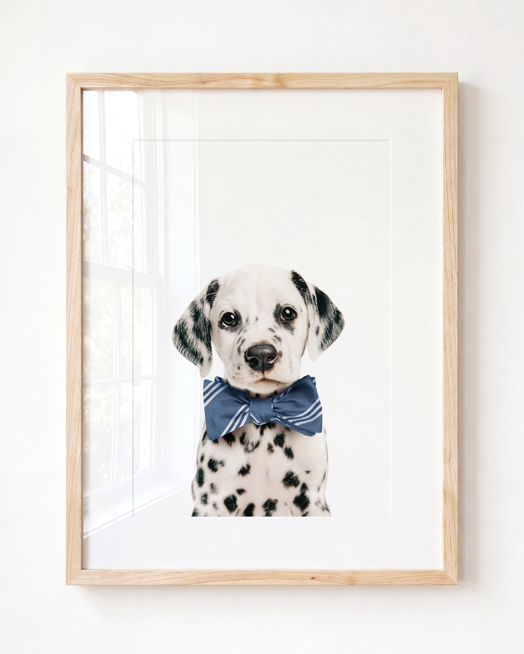 Baby Puppy Dalmatian