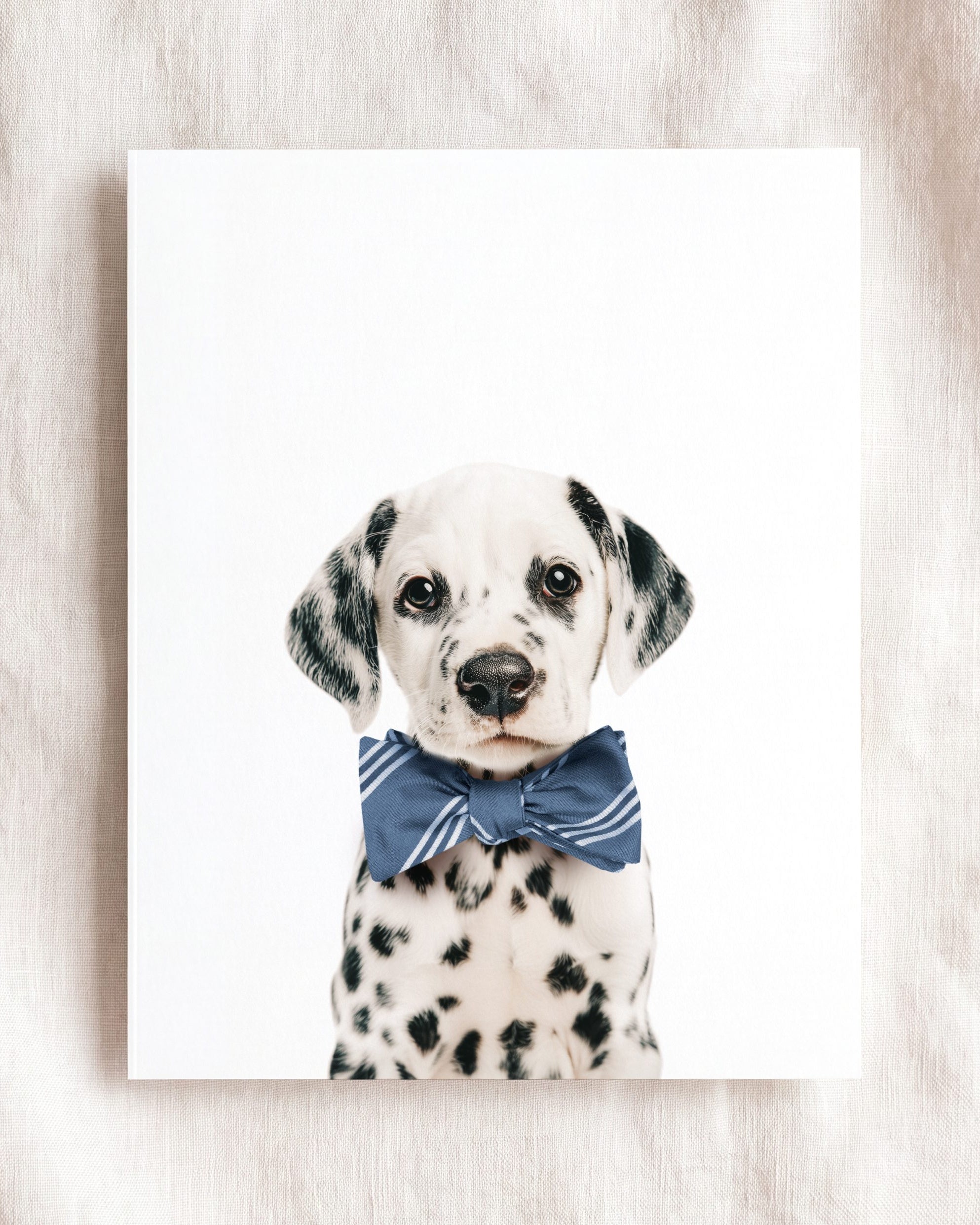 Baby Puppy Dalmatian