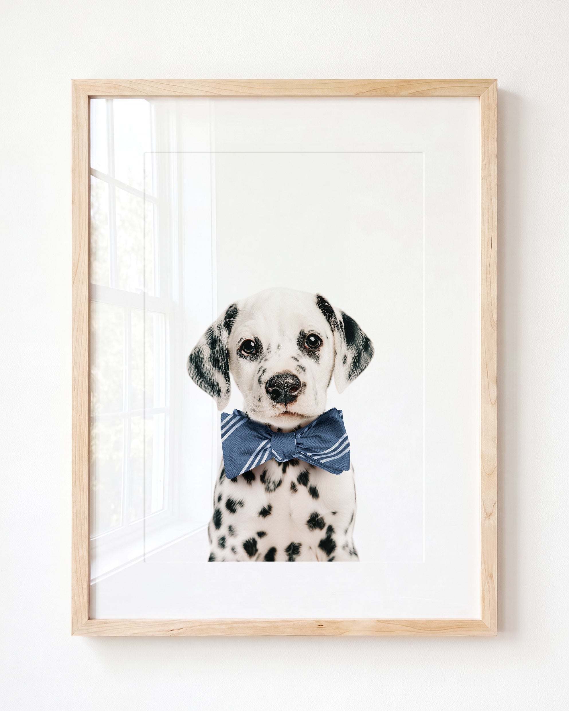 Baby Puppy Dalmatian