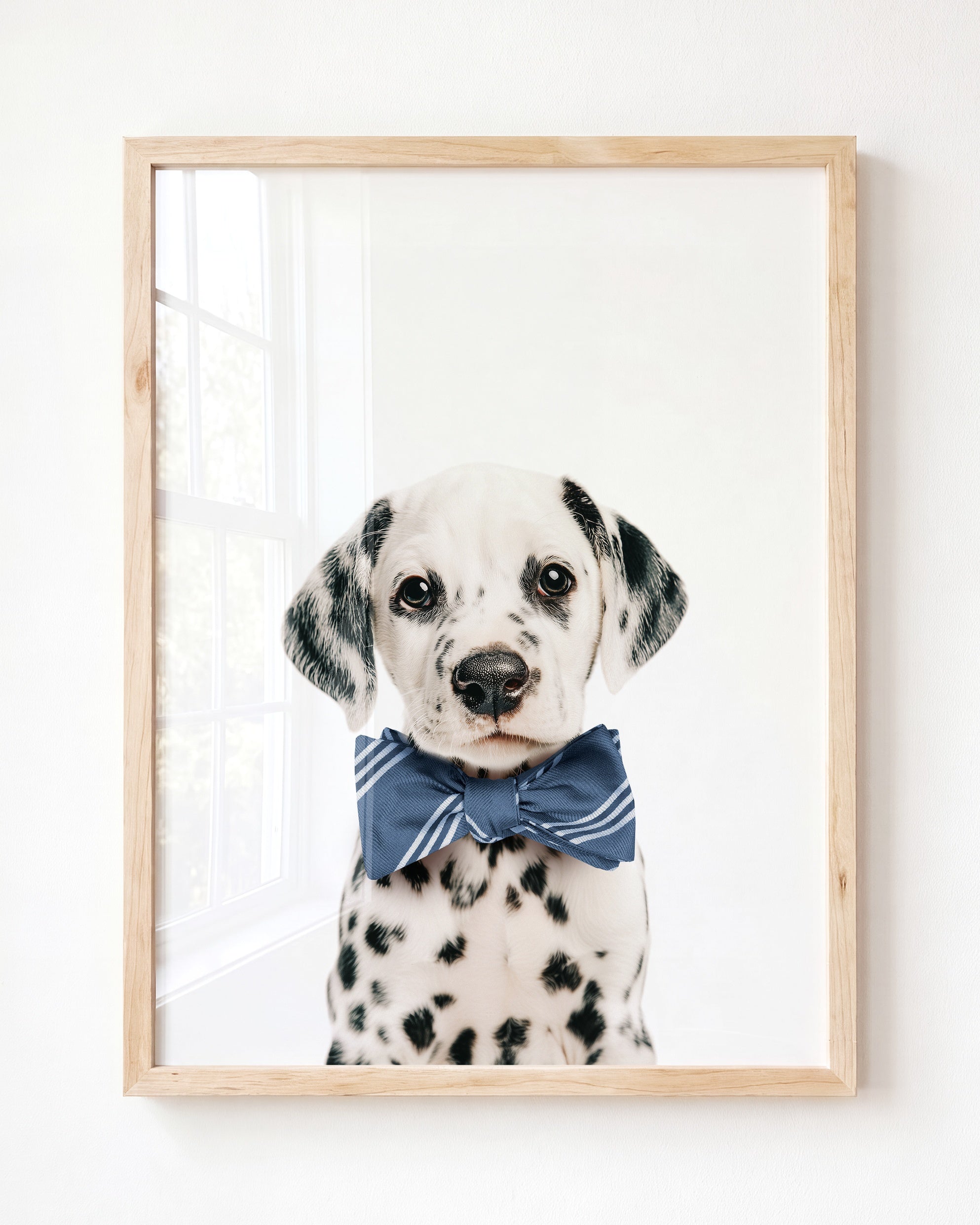 Baby Puppy Dalmatian
