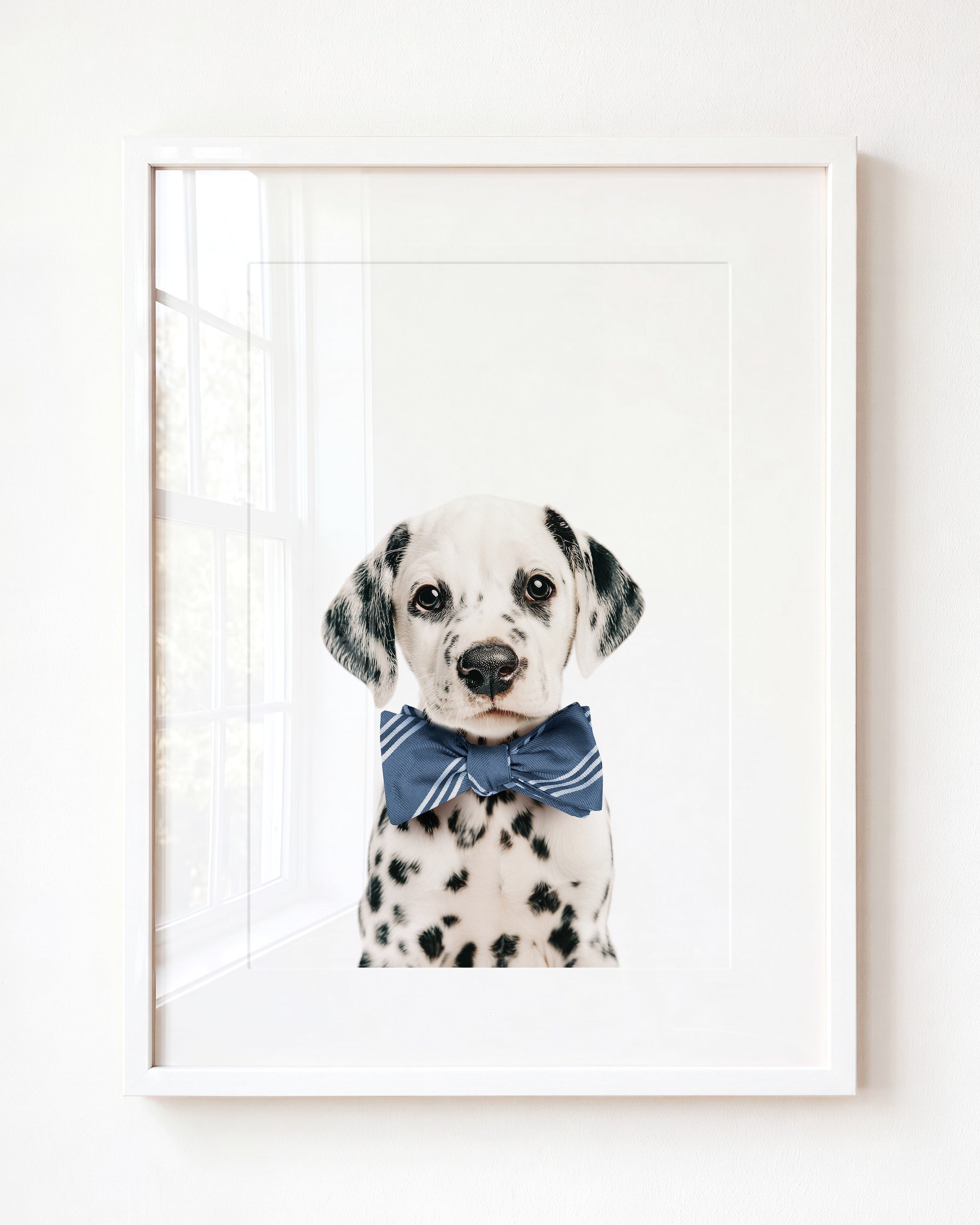 Baby Puppy Dalmatian