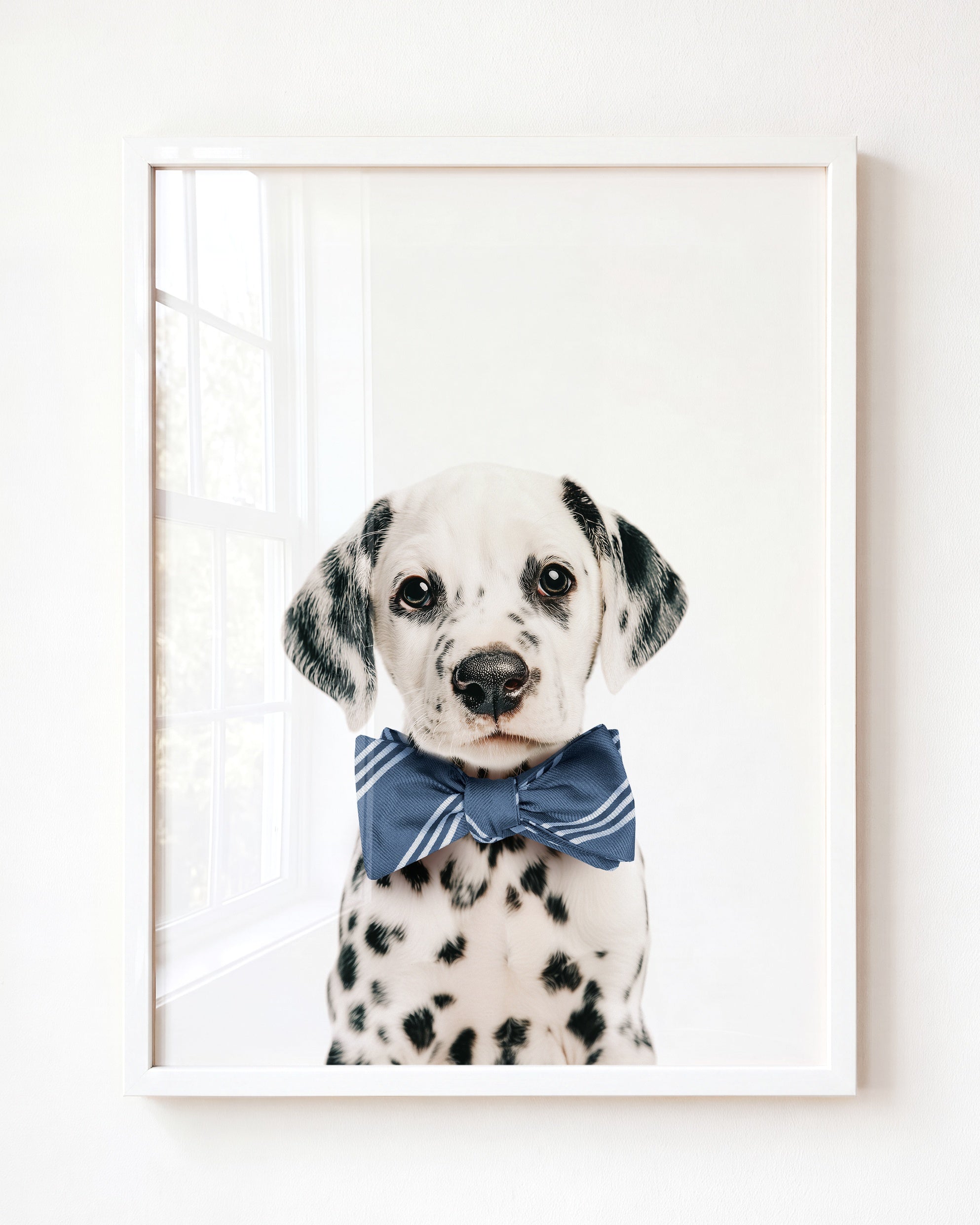 Baby Puppy Dalmatian