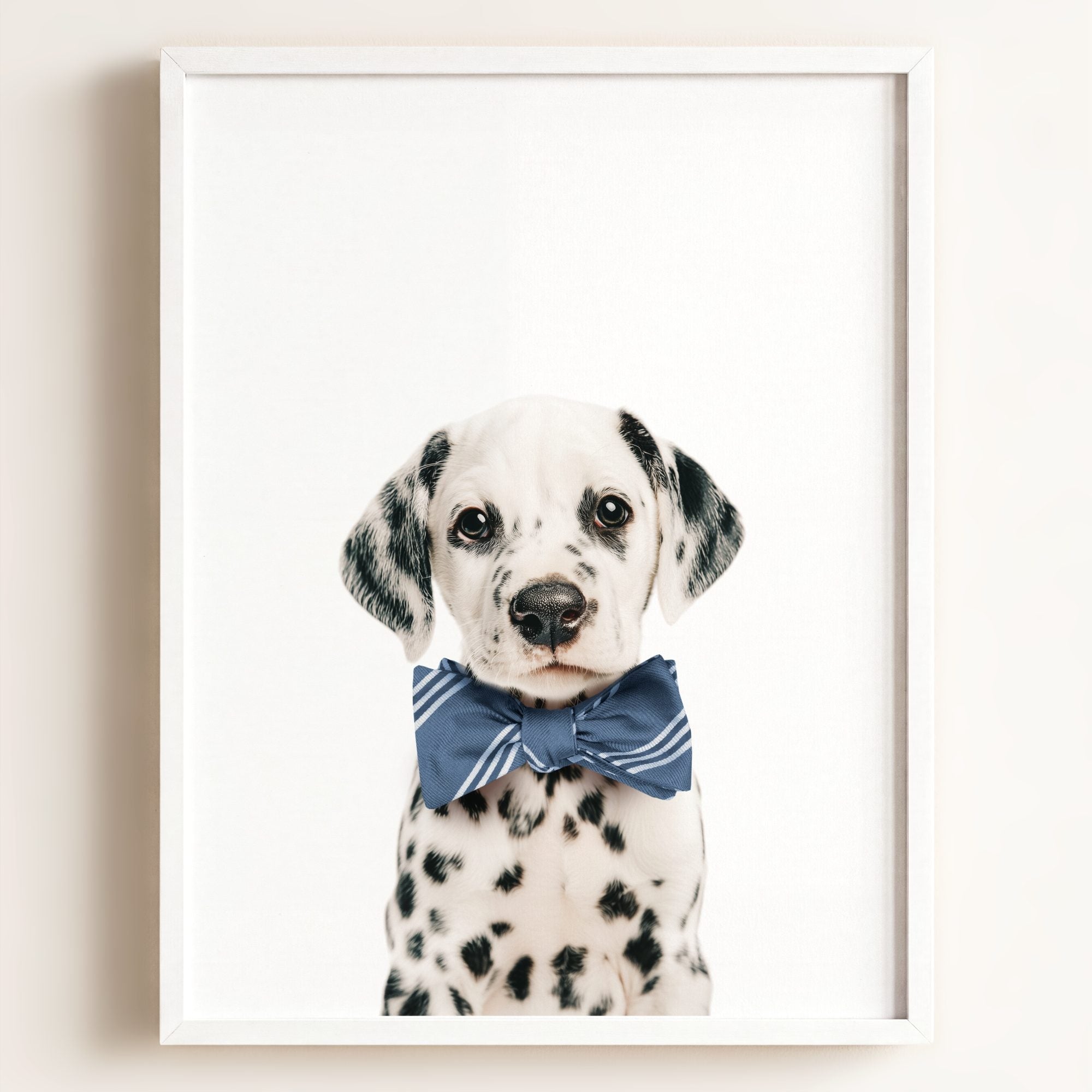 Baby Puppy Dalmatian