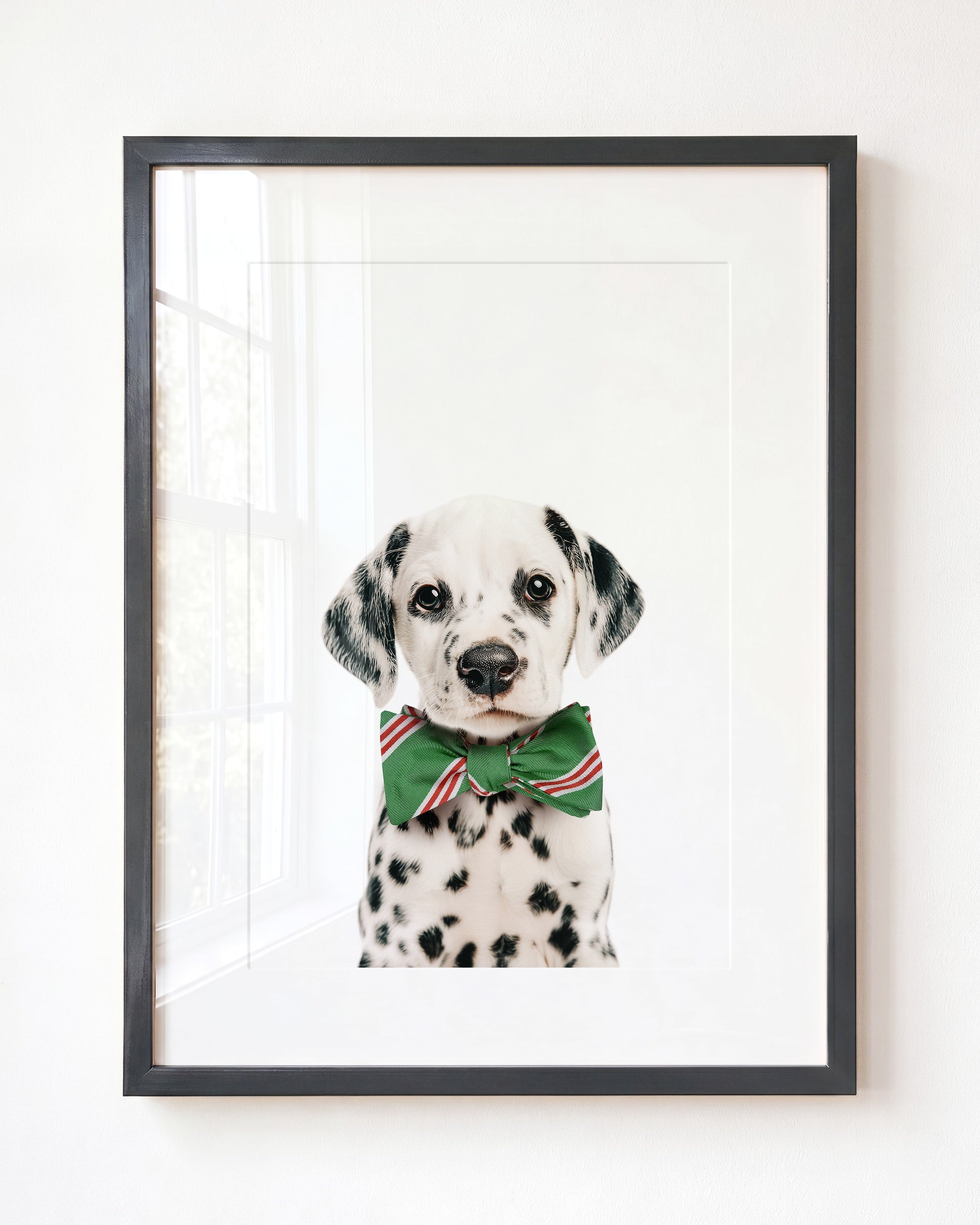 Baby Puppy Dalmatian