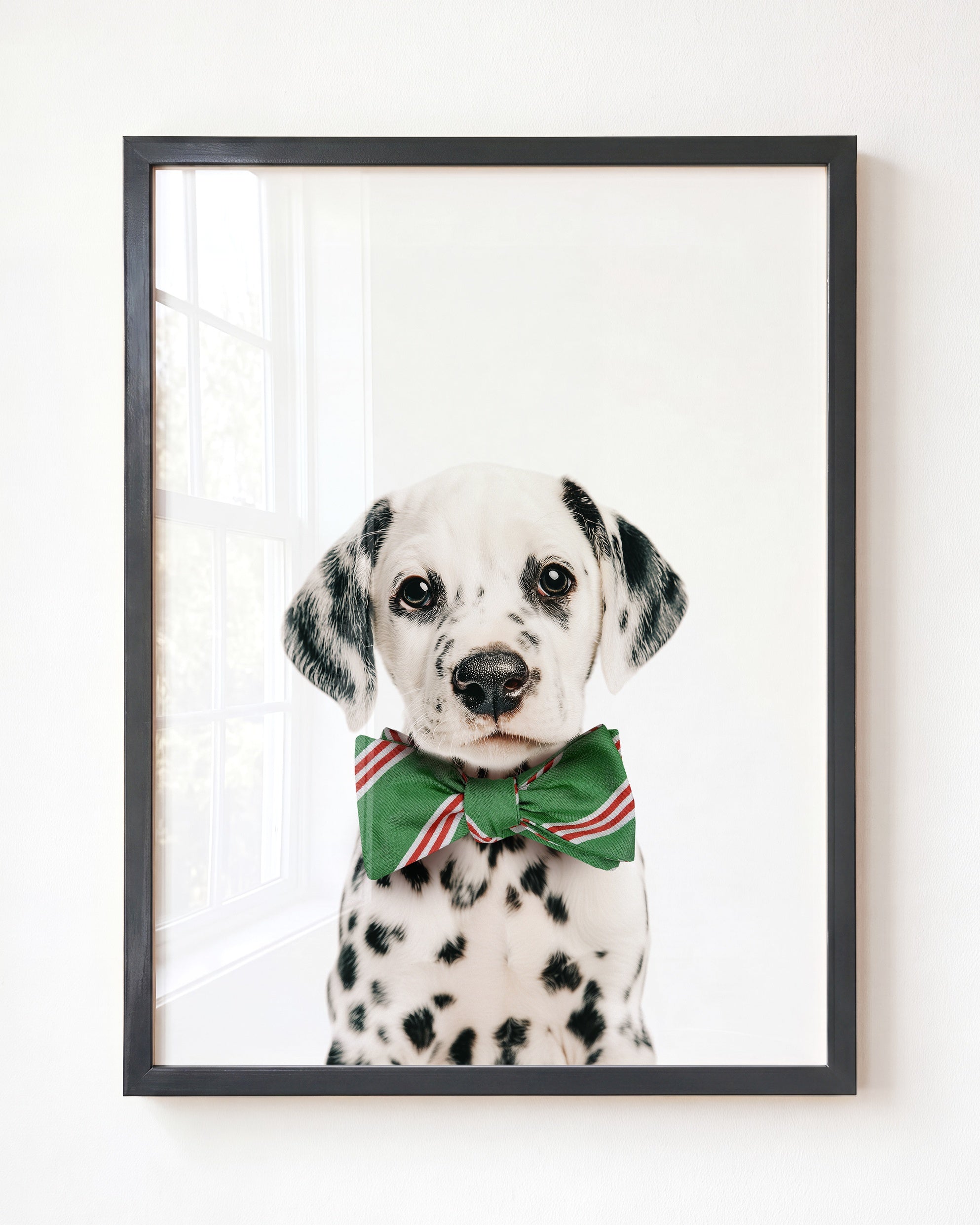 Baby Puppy Dalmatian