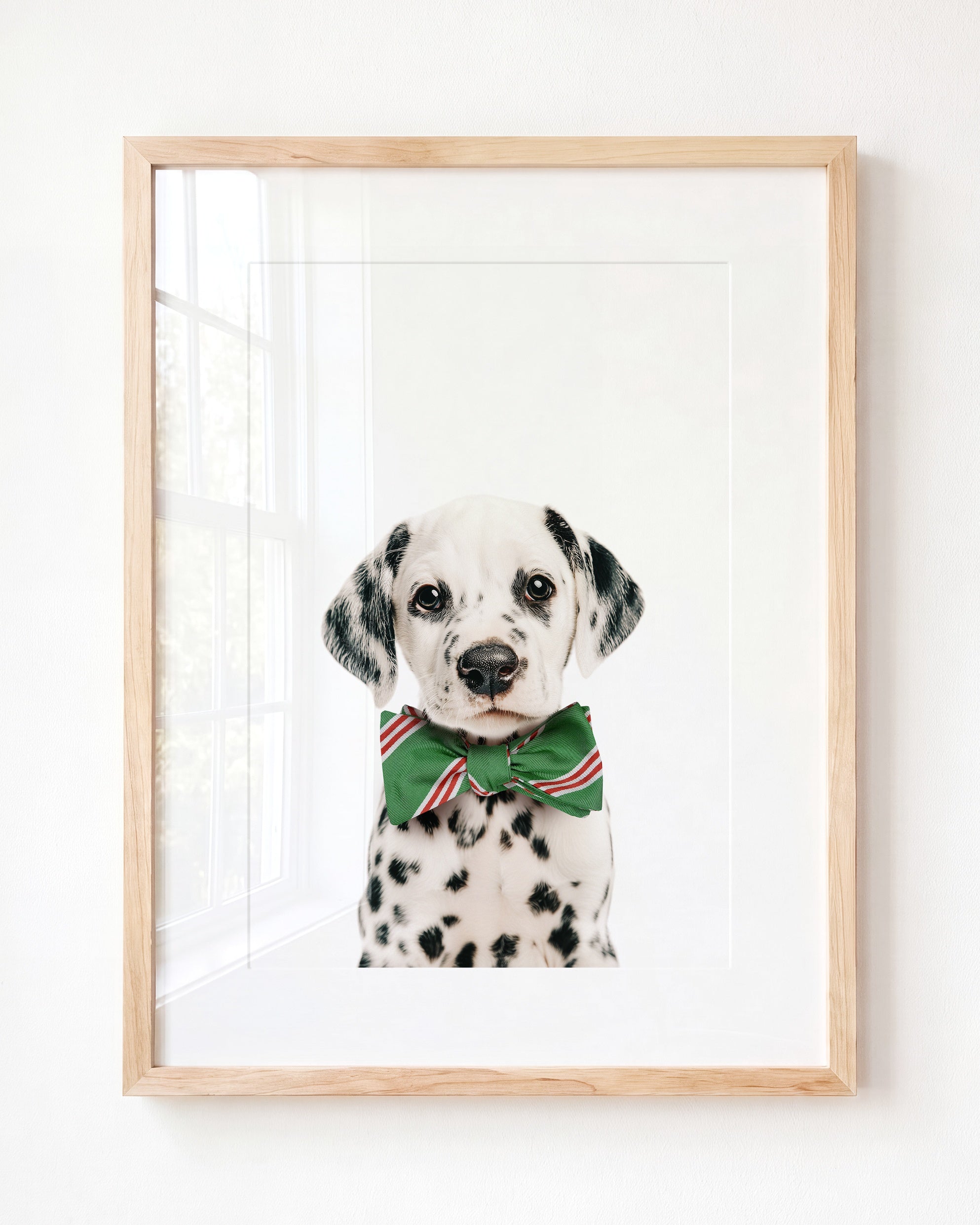 Baby Puppy Dalmatian