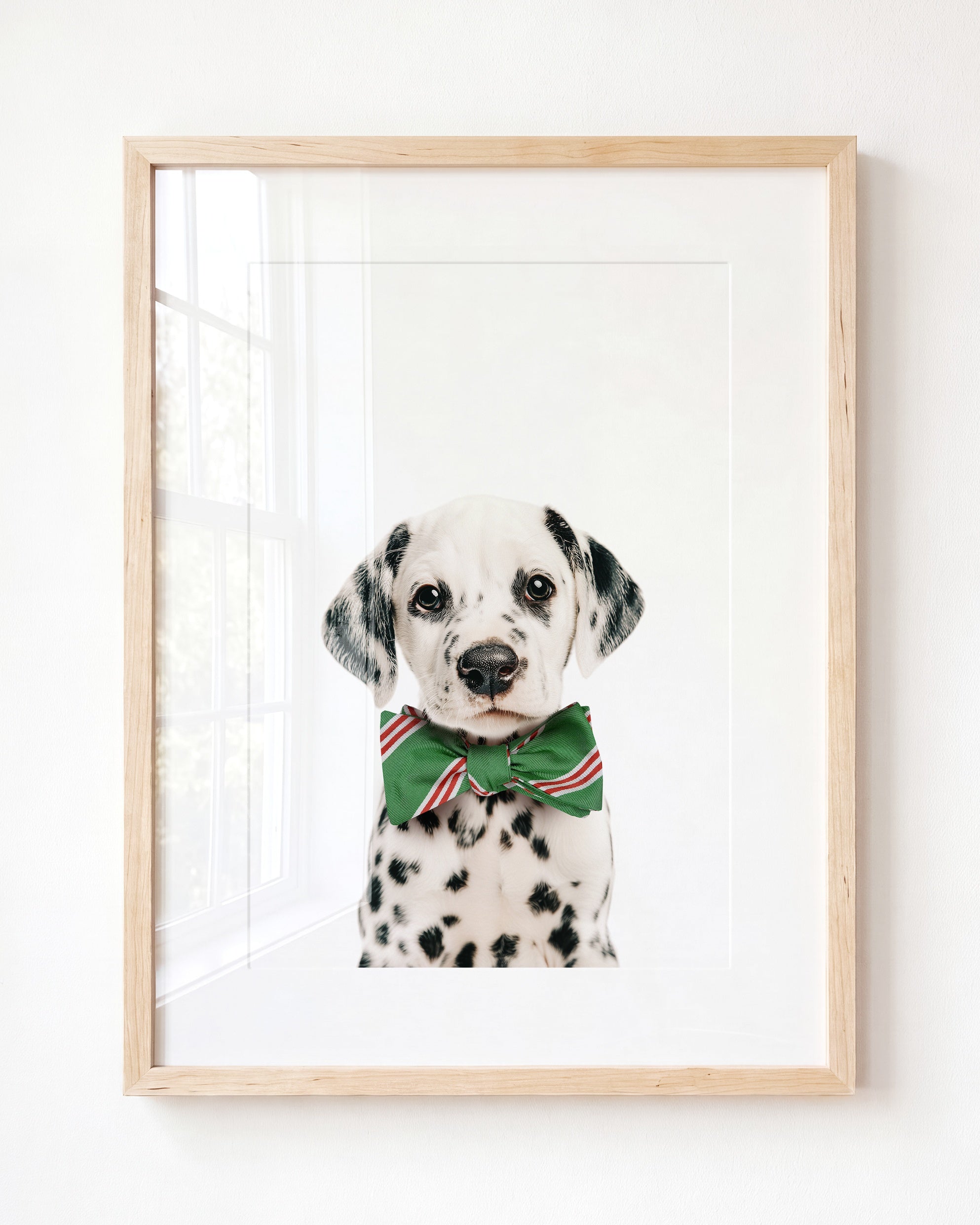 Baby Puppy Dalmatian