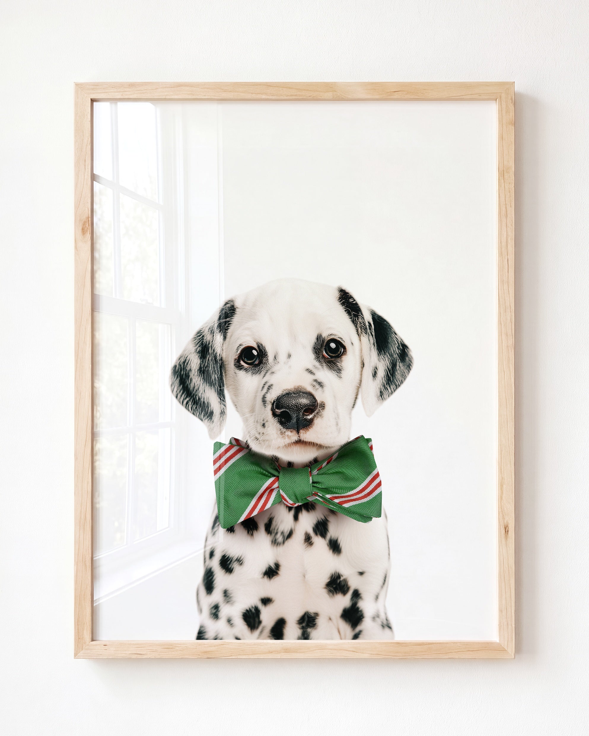 Baby Puppy Dalmatian