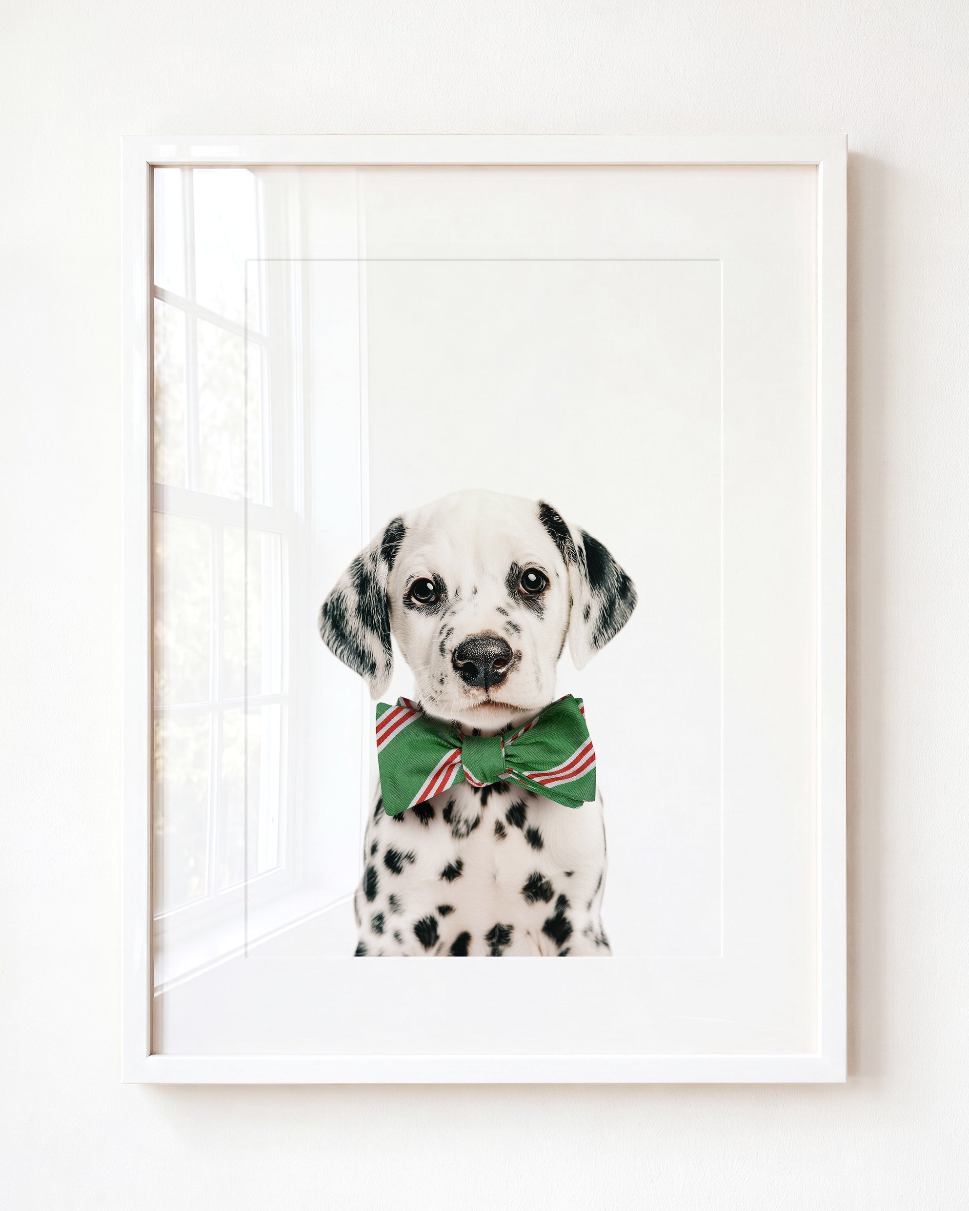 Baby Puppy Dalmatian