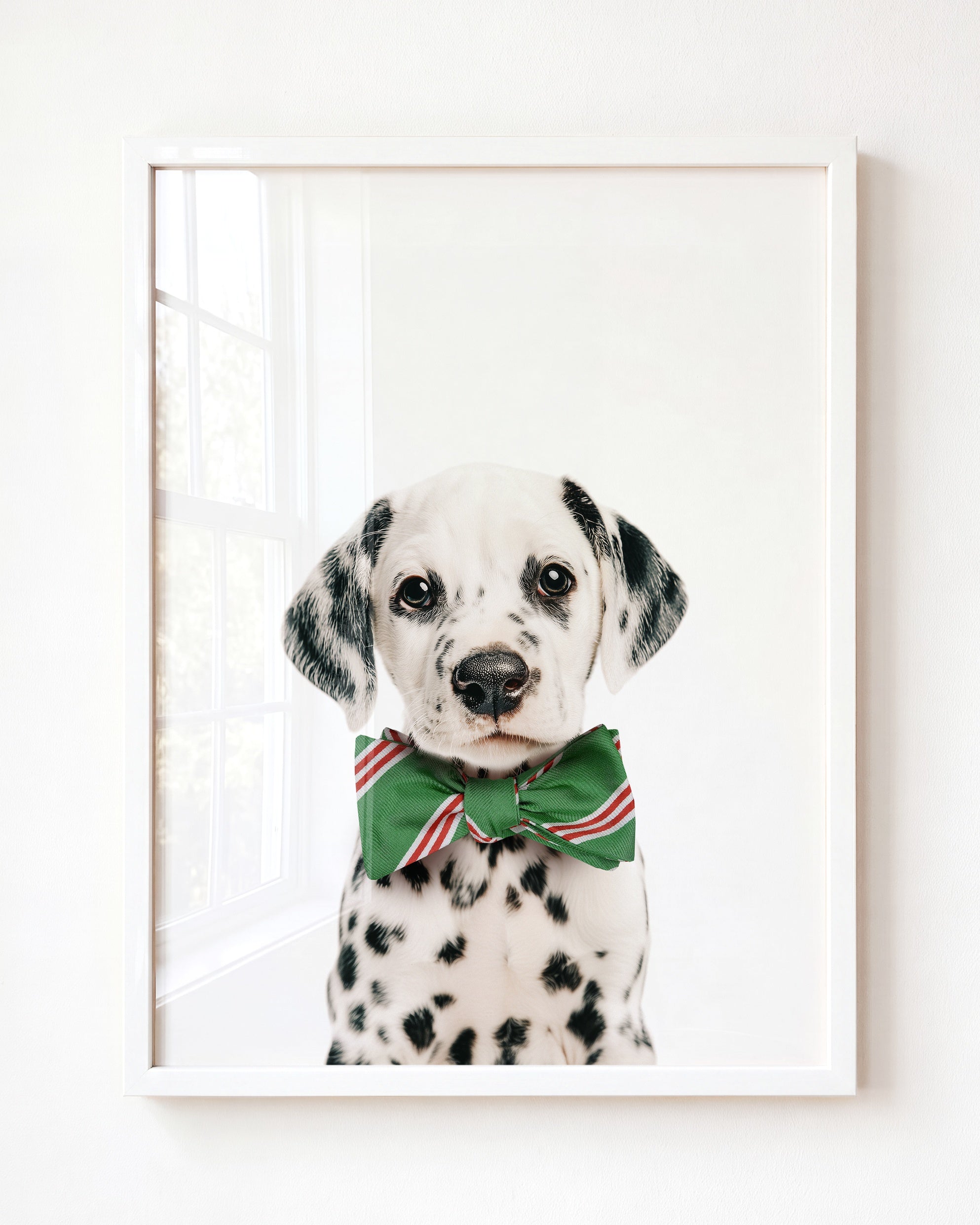 Baby Puppy Dalmatian