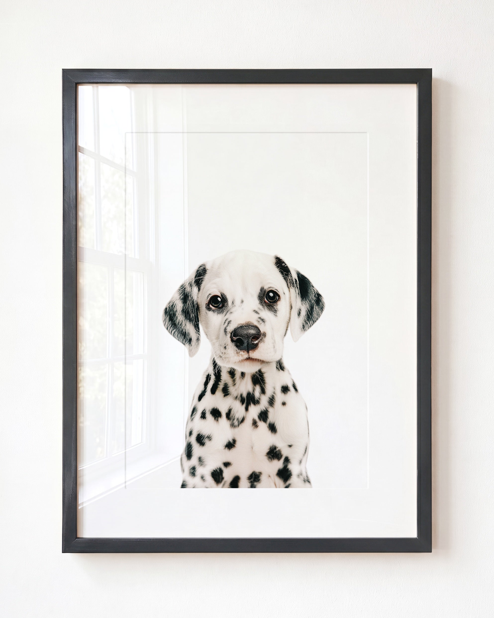 Baby Puppy Dalmatian