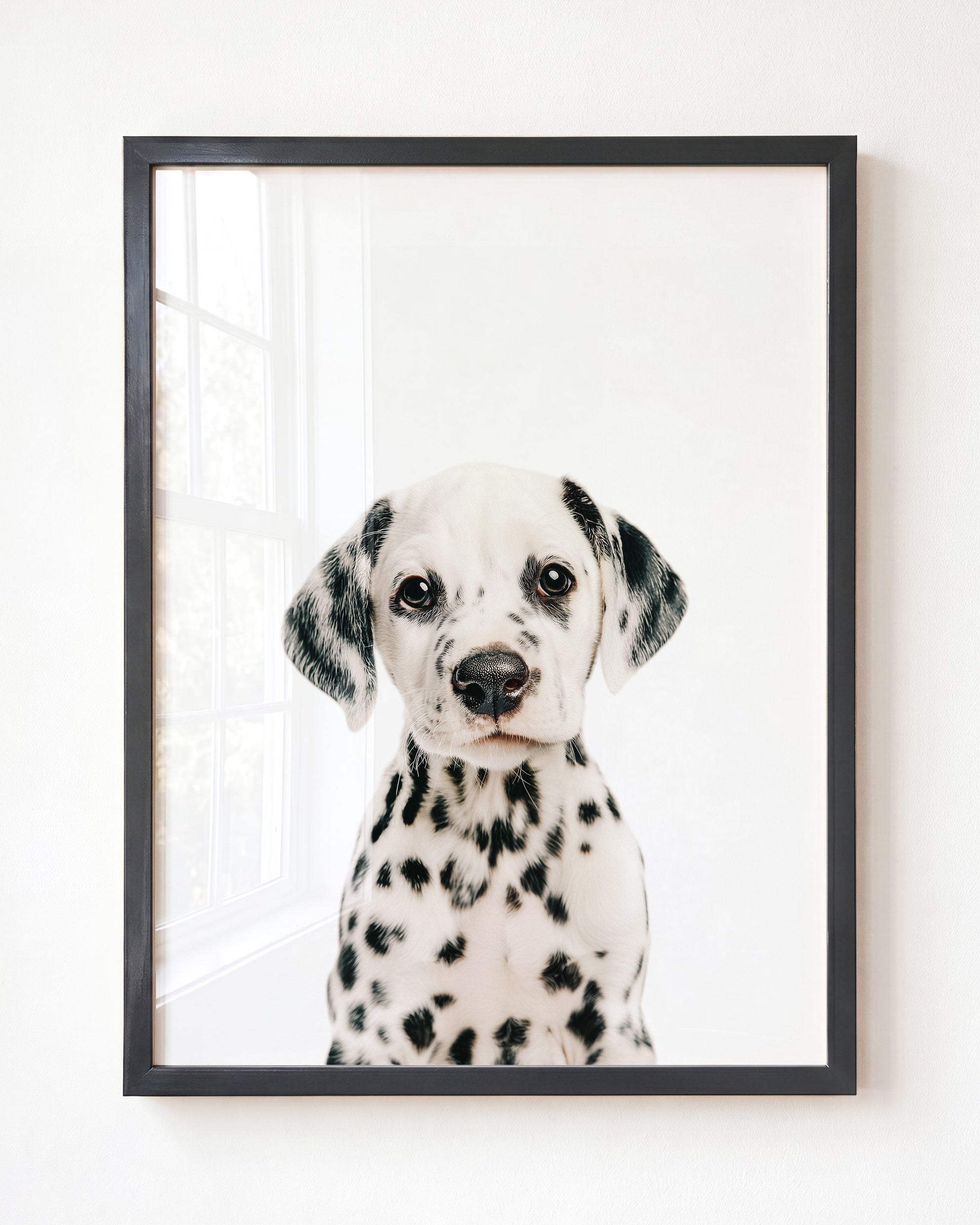 Baby Puppy Dalmatian