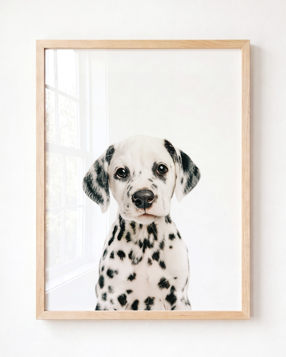 Baby Puppy Dalmatian — Framed Art