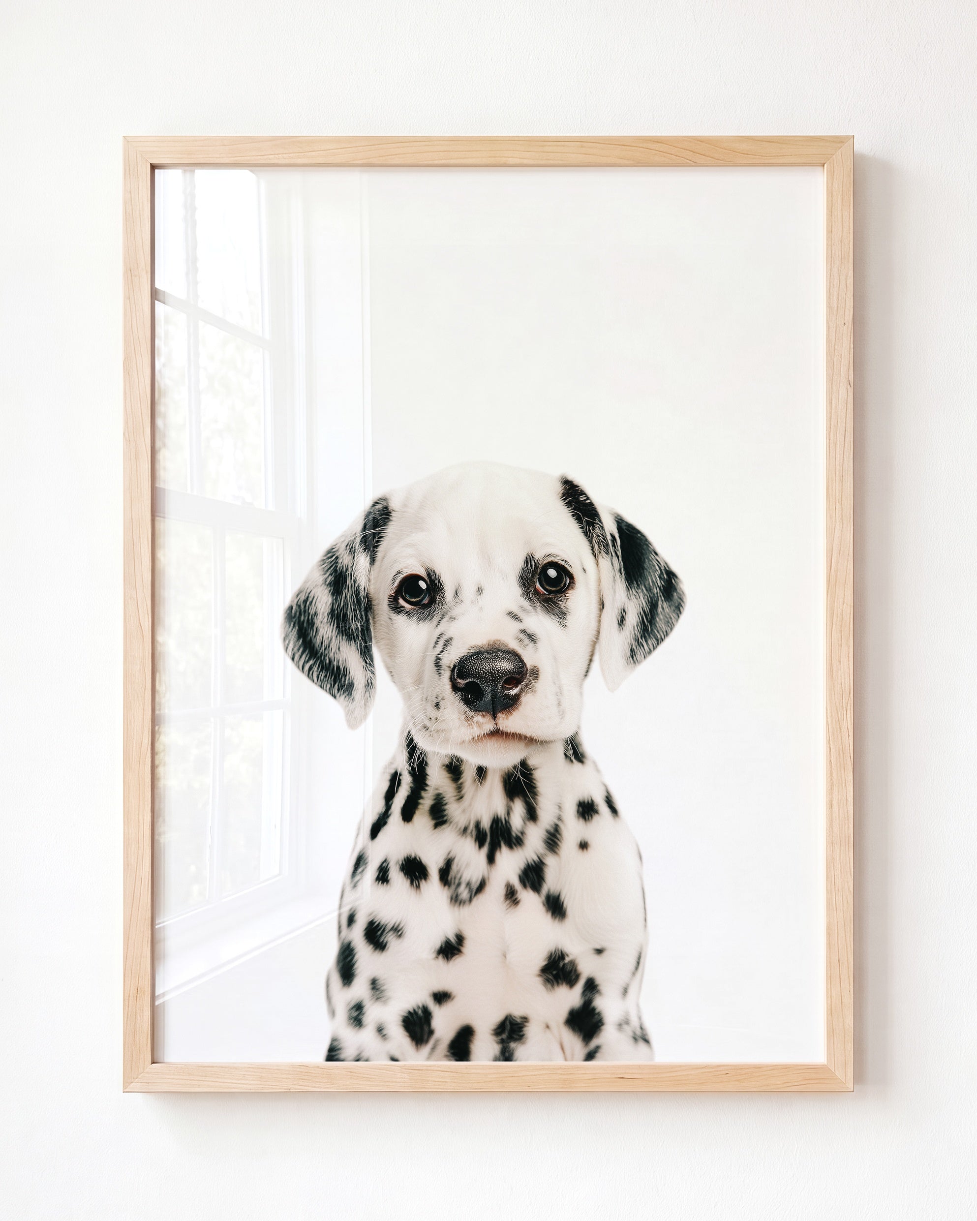 Baby Puppy Dalmatian