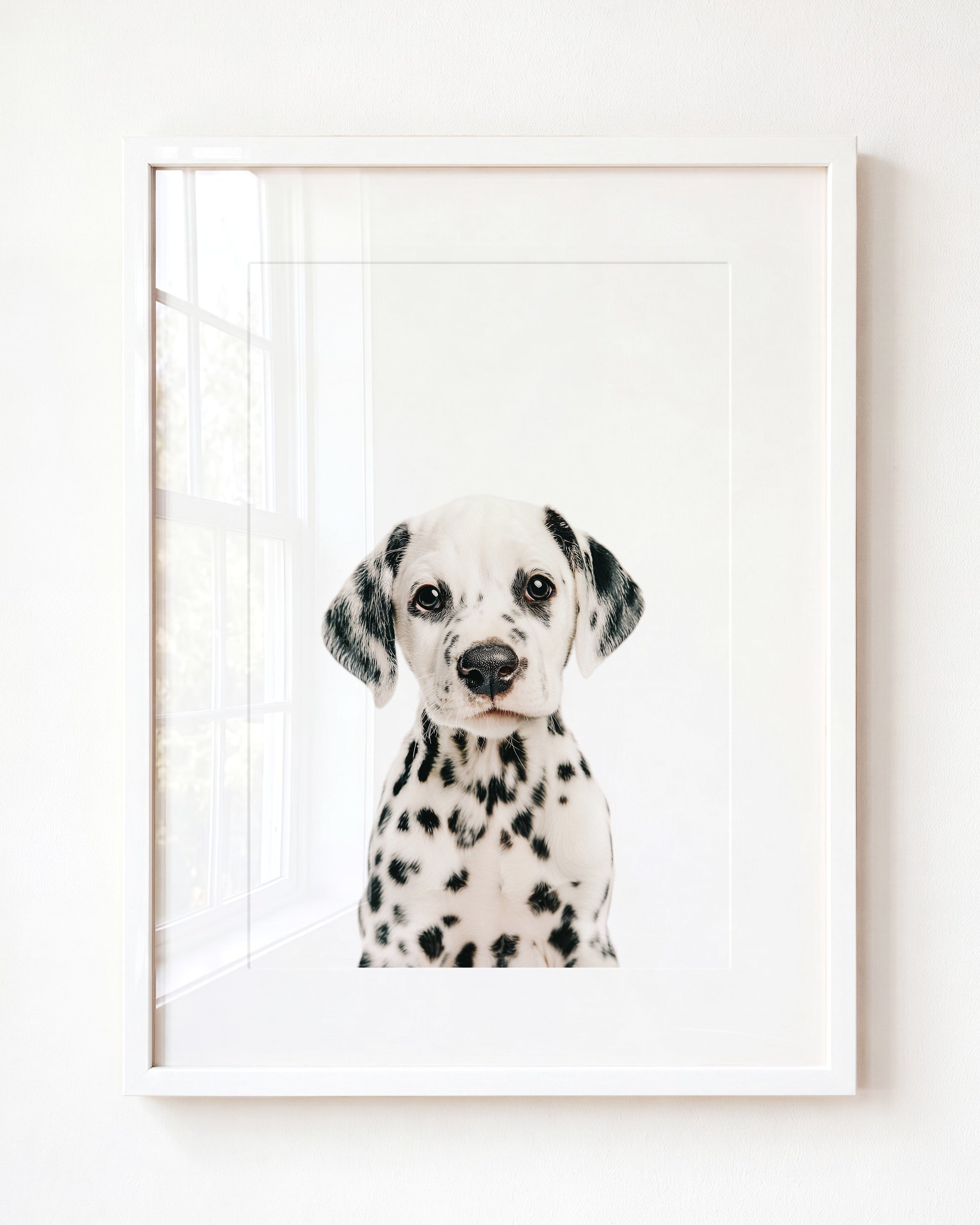 Baby Puppy Dalmatian