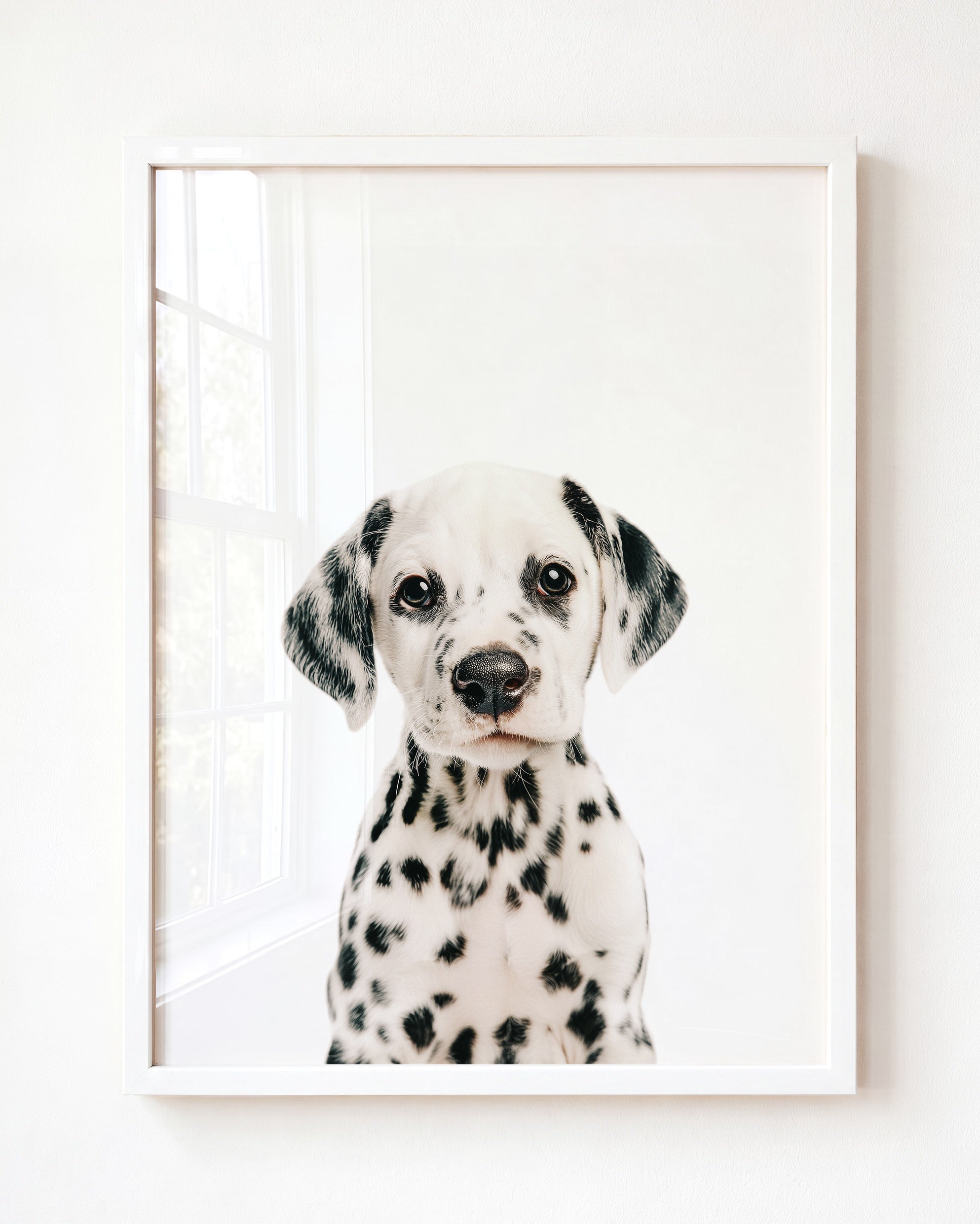 Baby Puppy Dalmatian