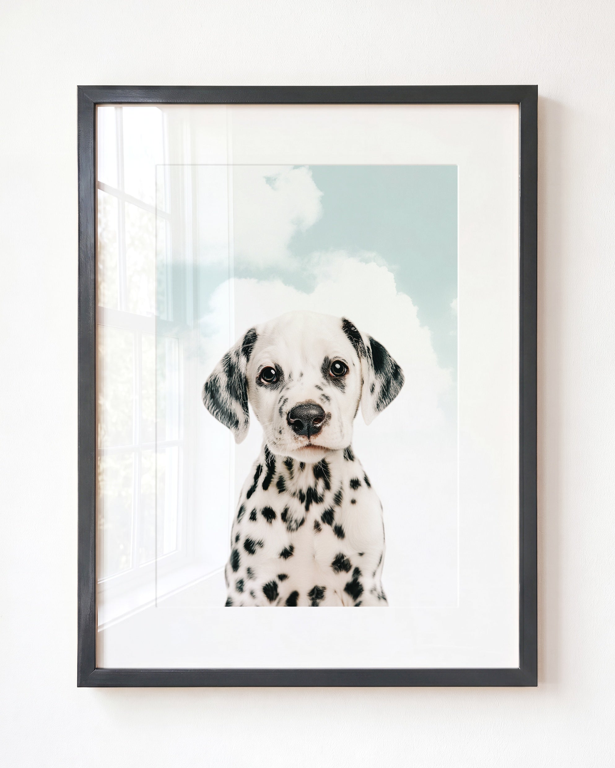 Baby Puppy Dalmatian