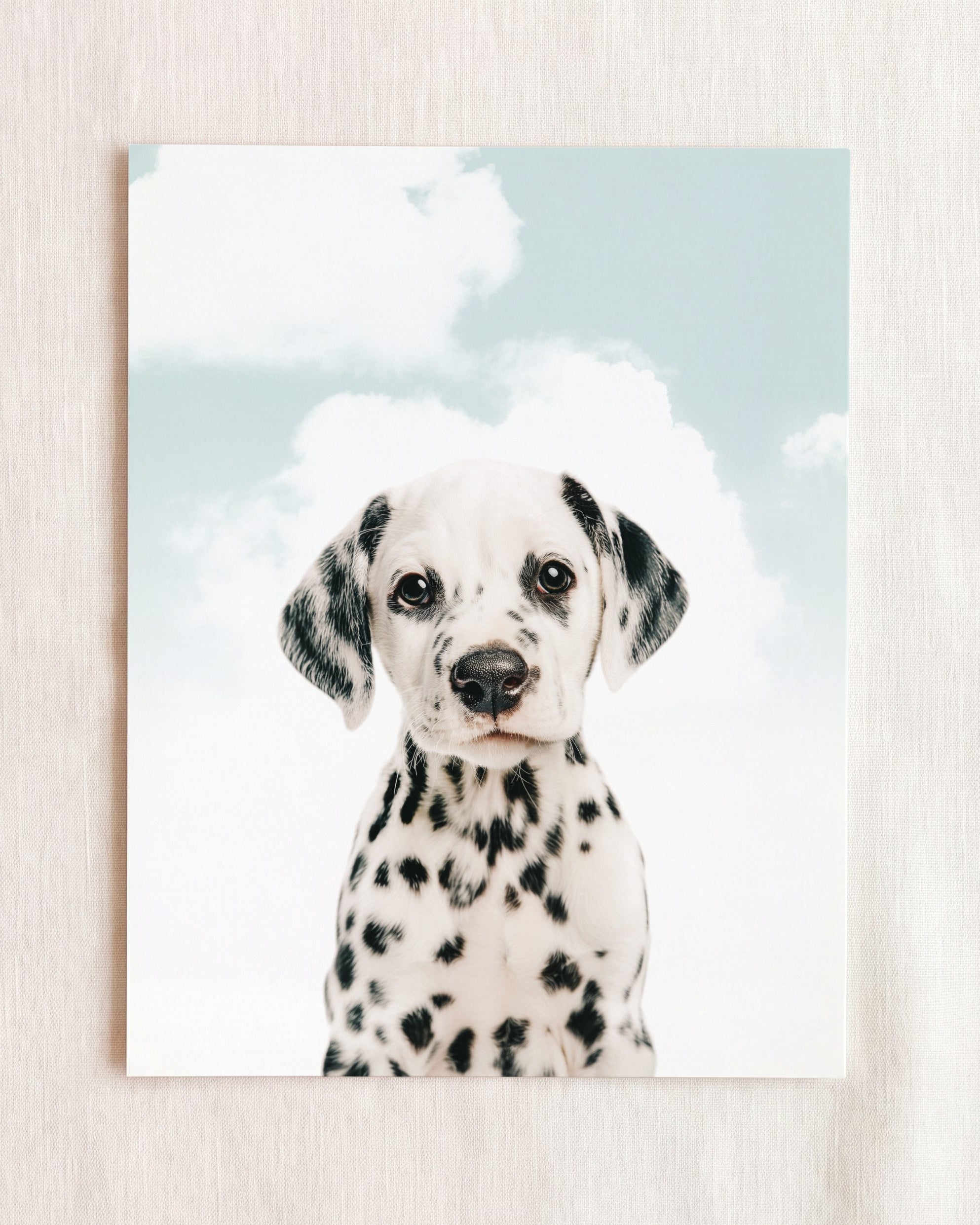 Baby Puppy Dalmatian