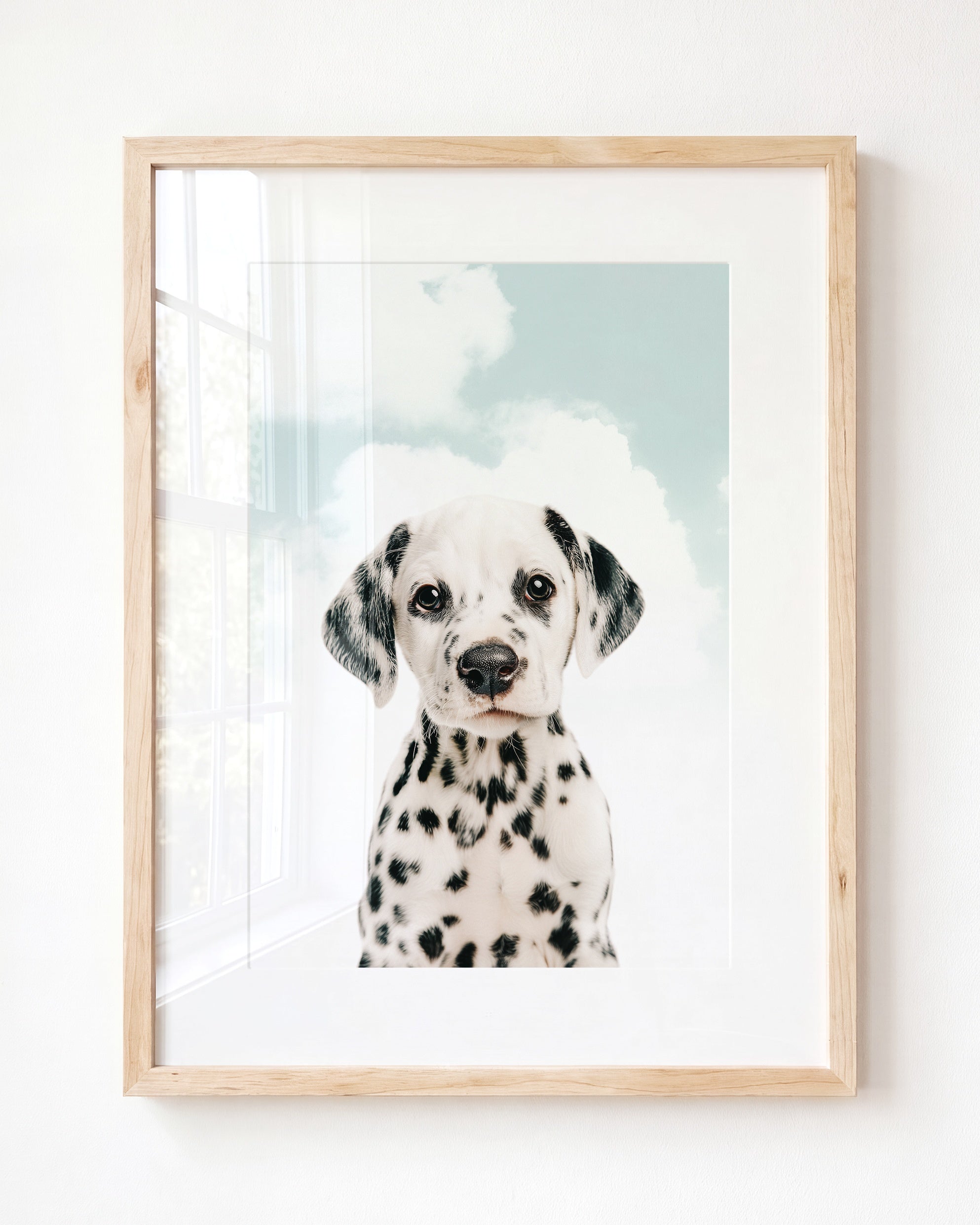 Baby Puppy Dalmatian