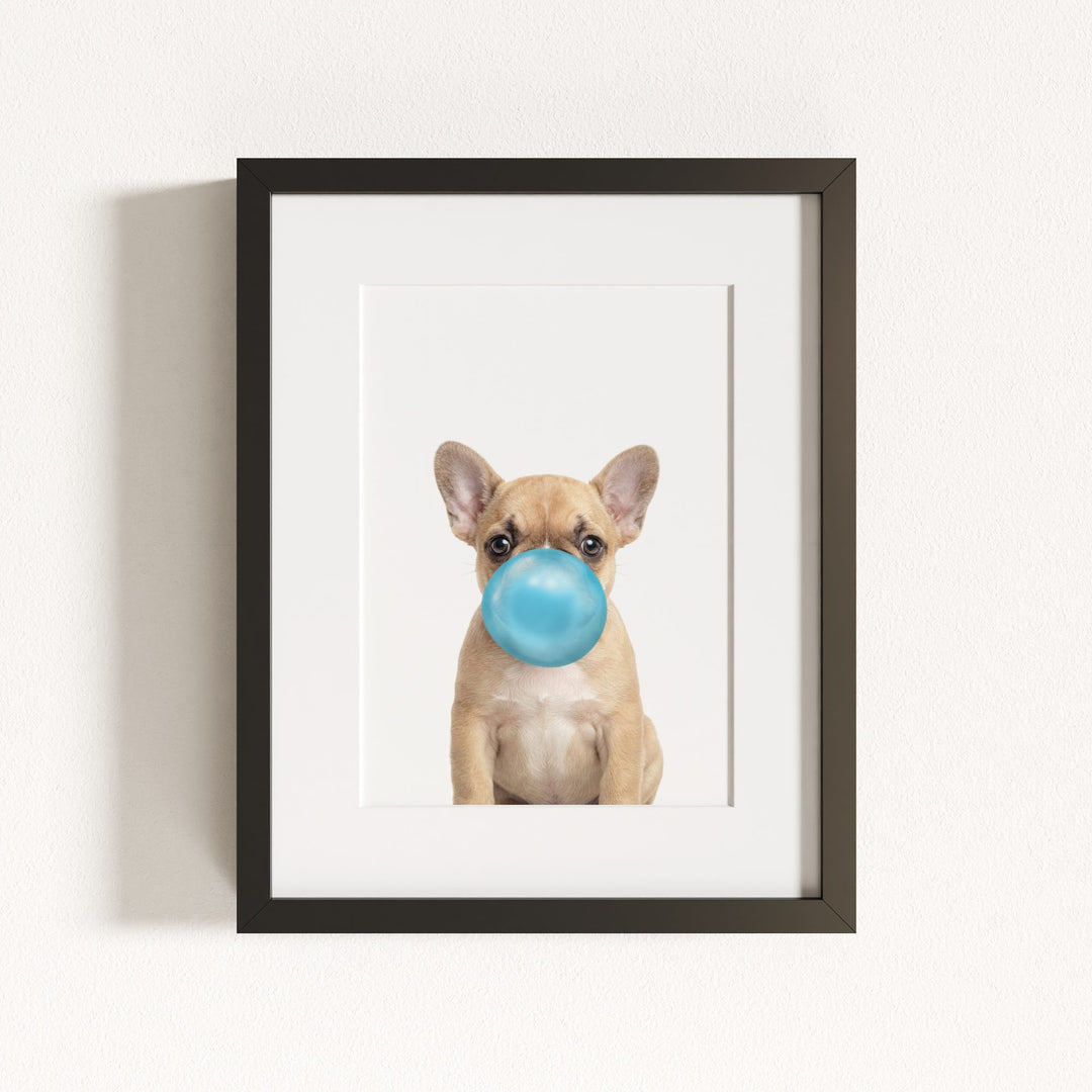 Baby Puppy French Bulldog