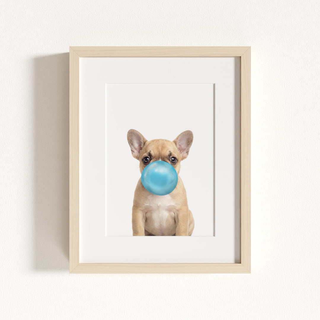 Baby Puppy French Bulldog