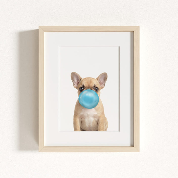 Baby Puppy French Bulldog