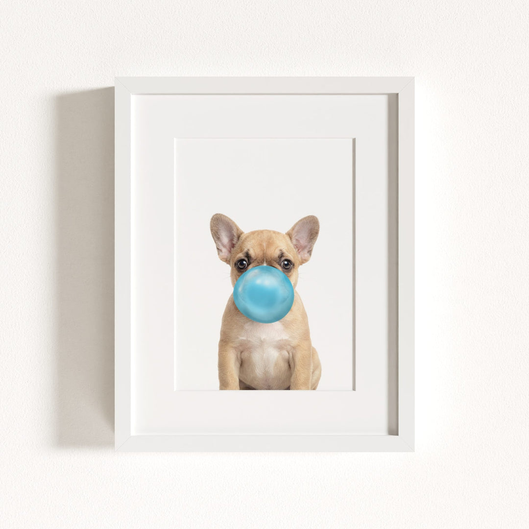 Baby Puppy French Bulldog