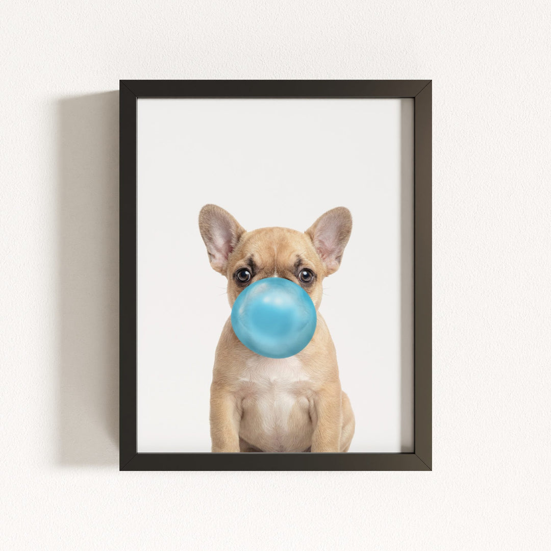 Baby Puppy French Bulldog