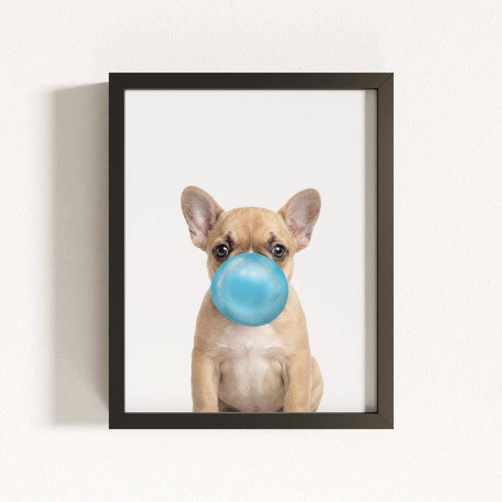 Baby Puppy French Bulldog