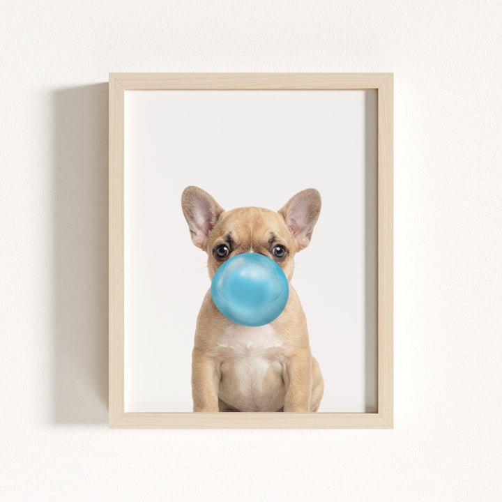 Baby Puppy French Bulldog