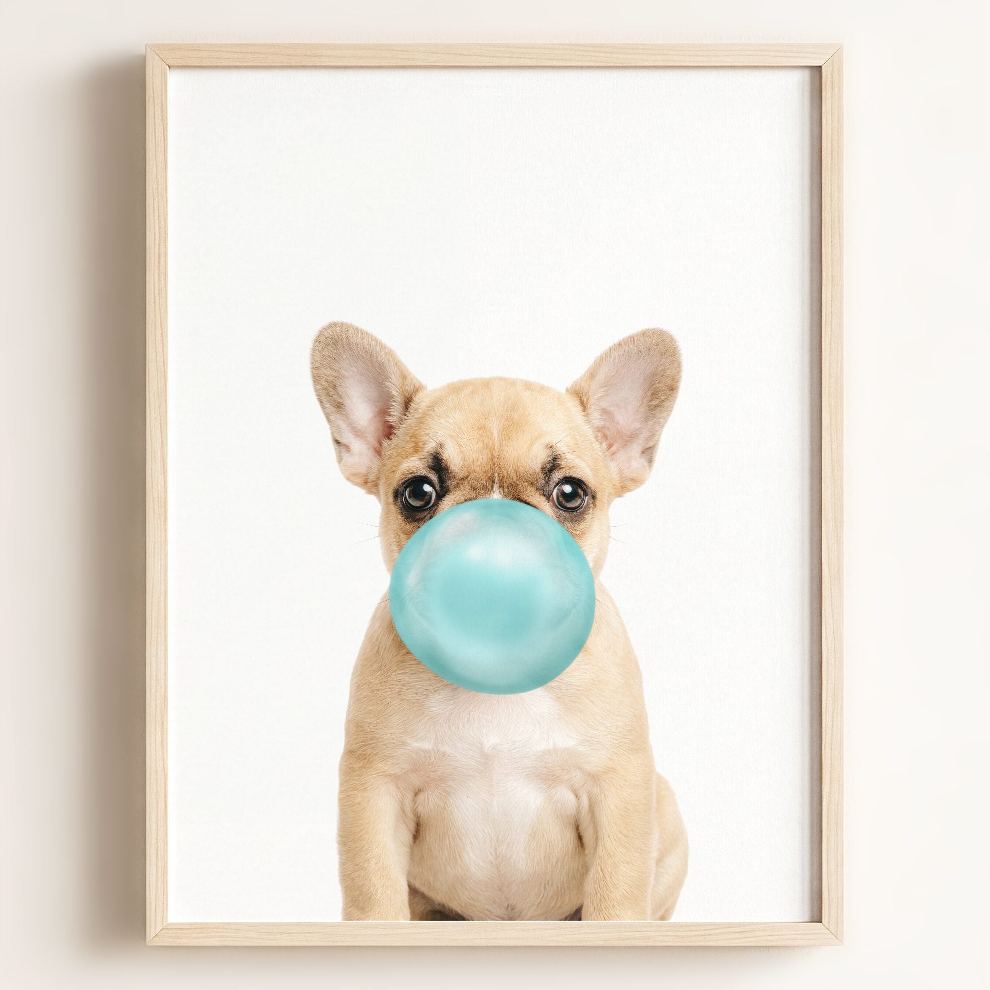 Baby Puppy French Bulldog