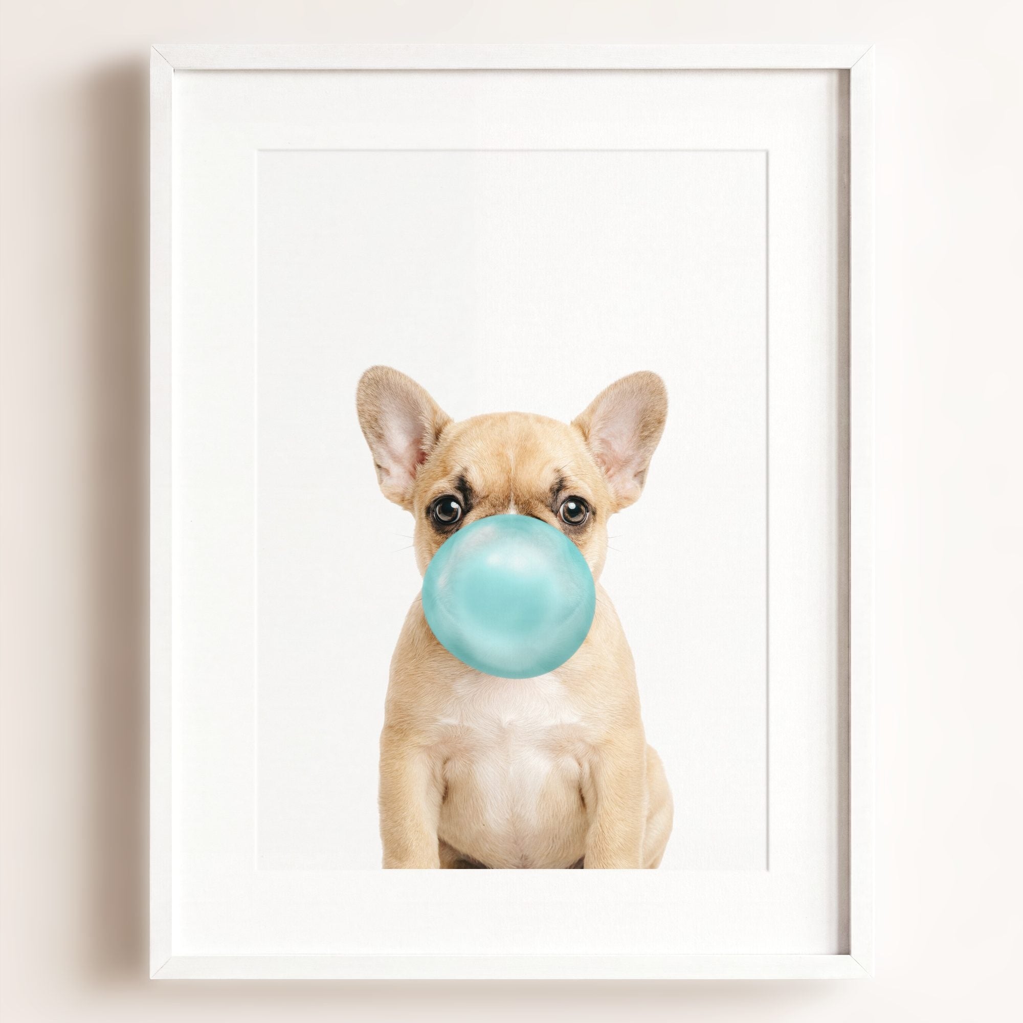 Baby Puppy French Bulldog