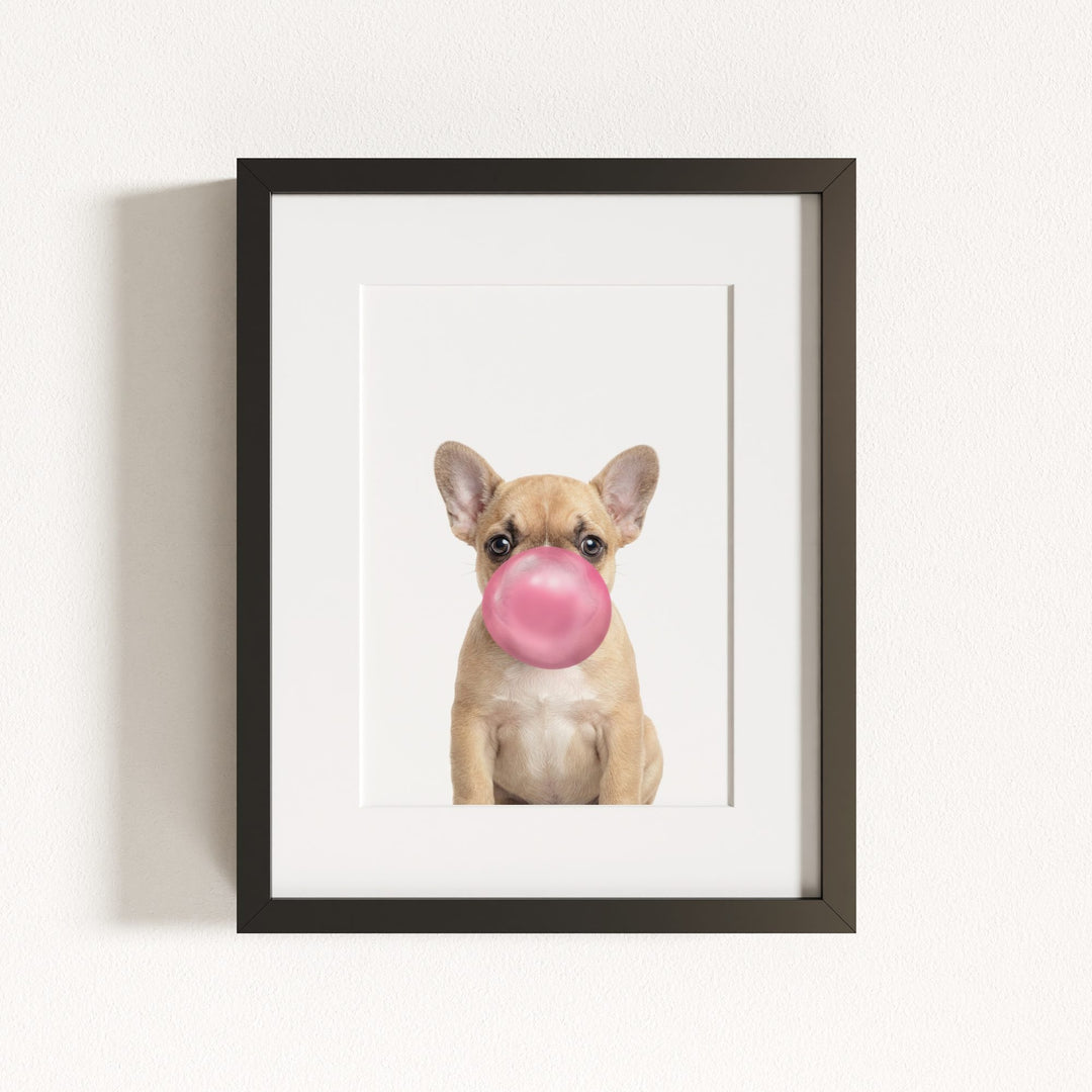 Baby Puppy French Bulldog