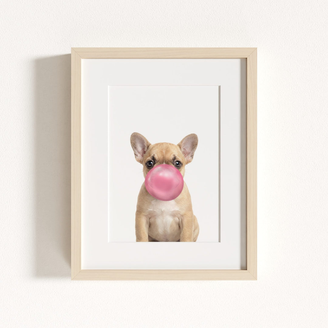 Baby Puppy French Bulldog