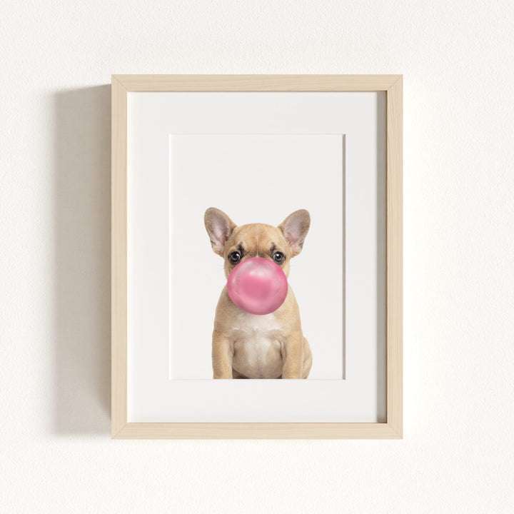 Baby Puppy French Bulldog