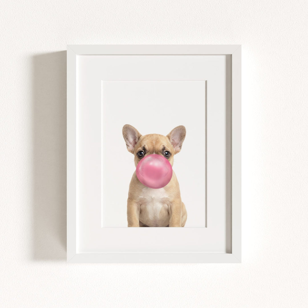 Baby Puppy French Bulldog