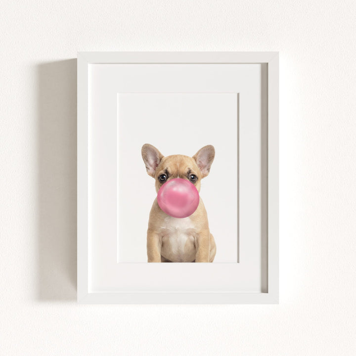 Baby Puppy French Bulldog