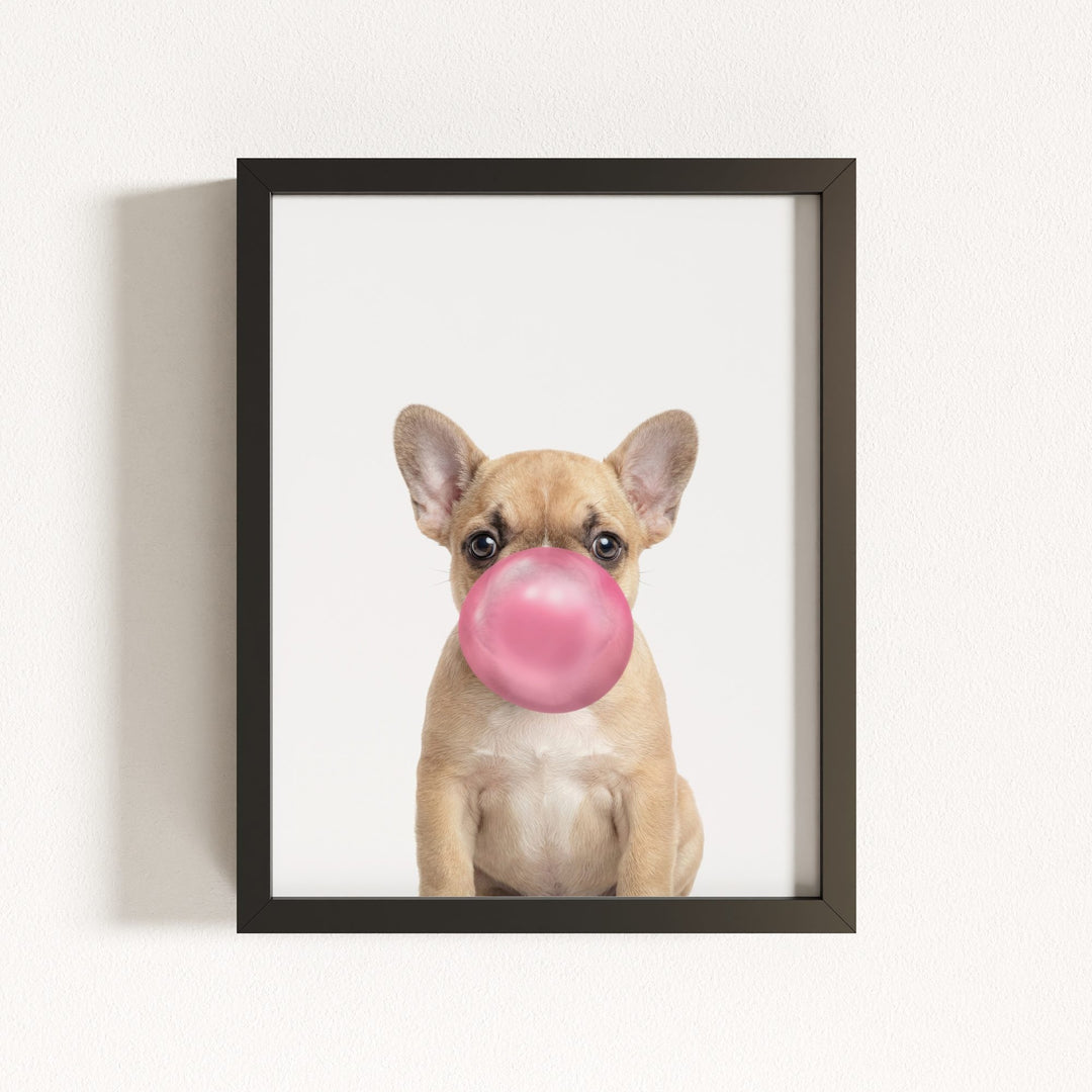 Baby Puppy French Bulldog