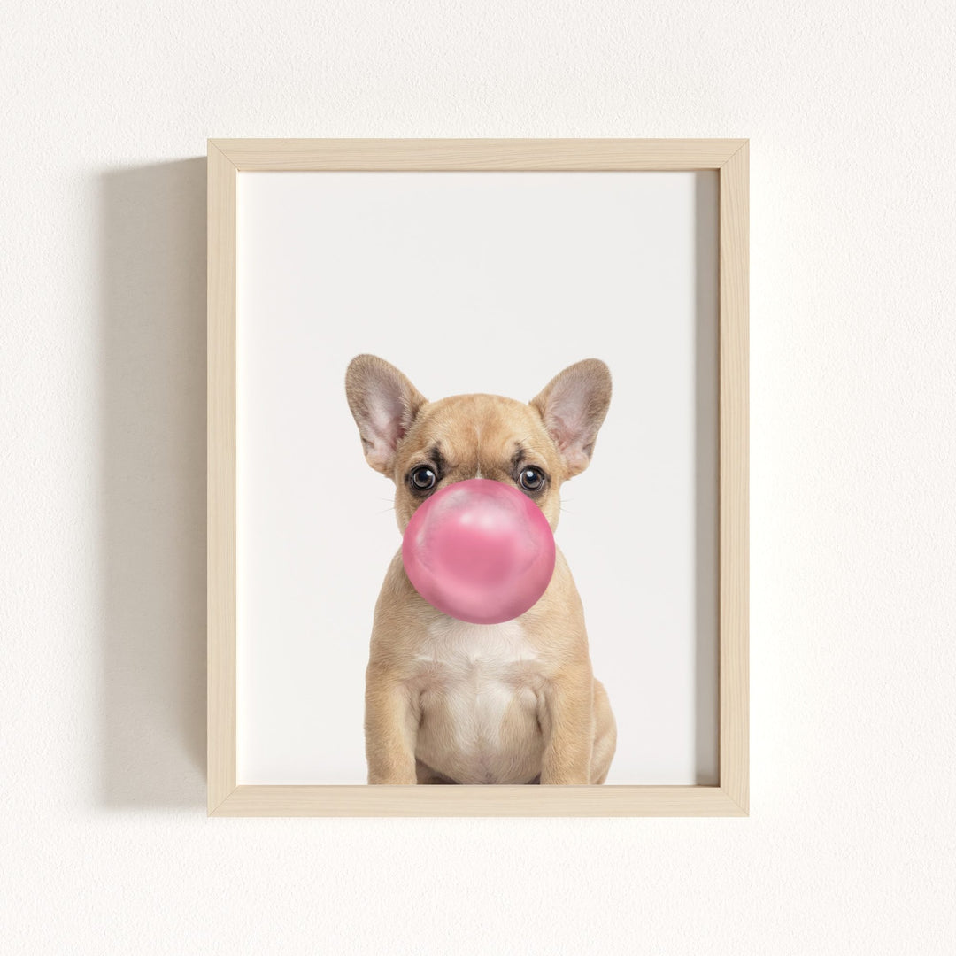 Baby Puppy French Bulldog