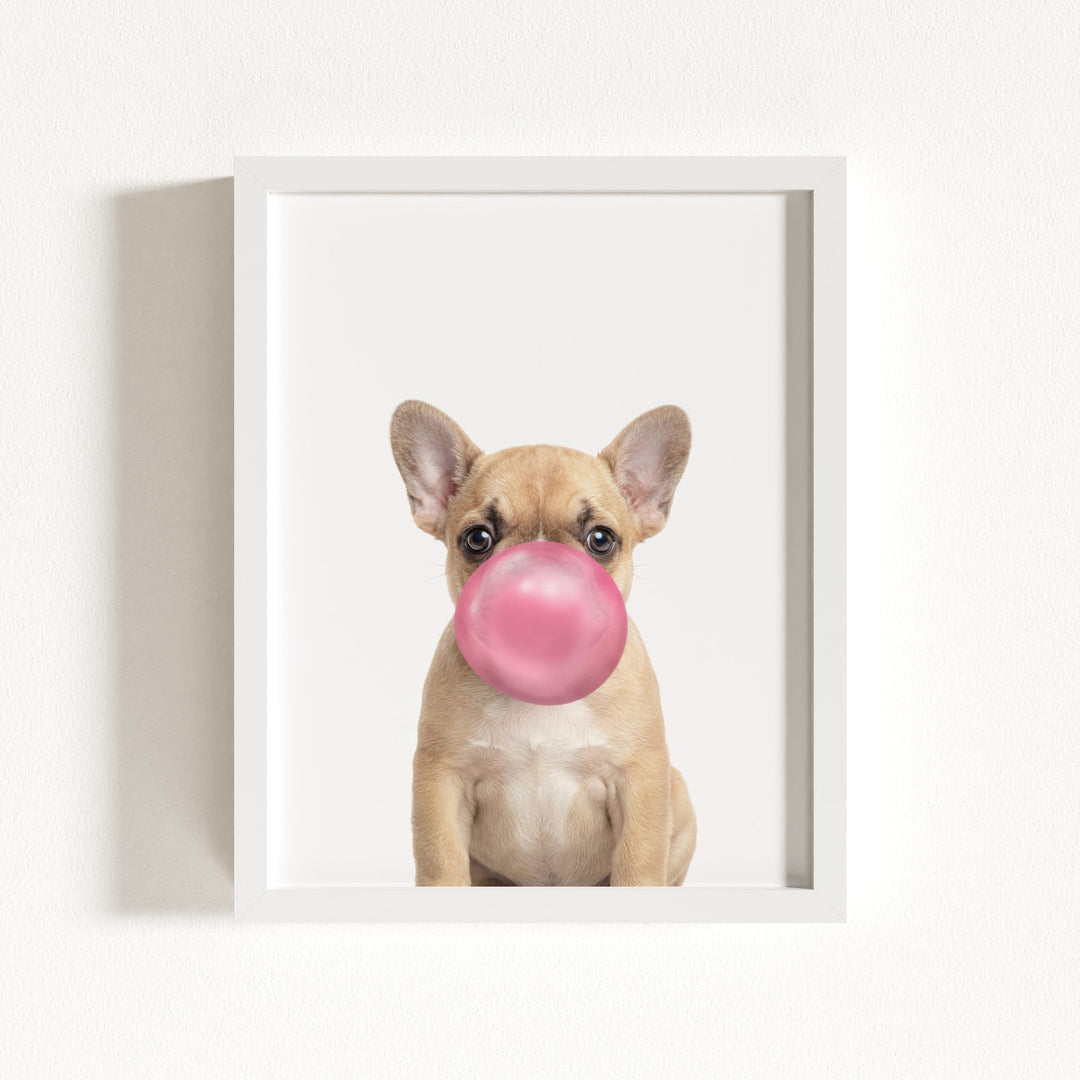 Baby Puppy French Bulldog